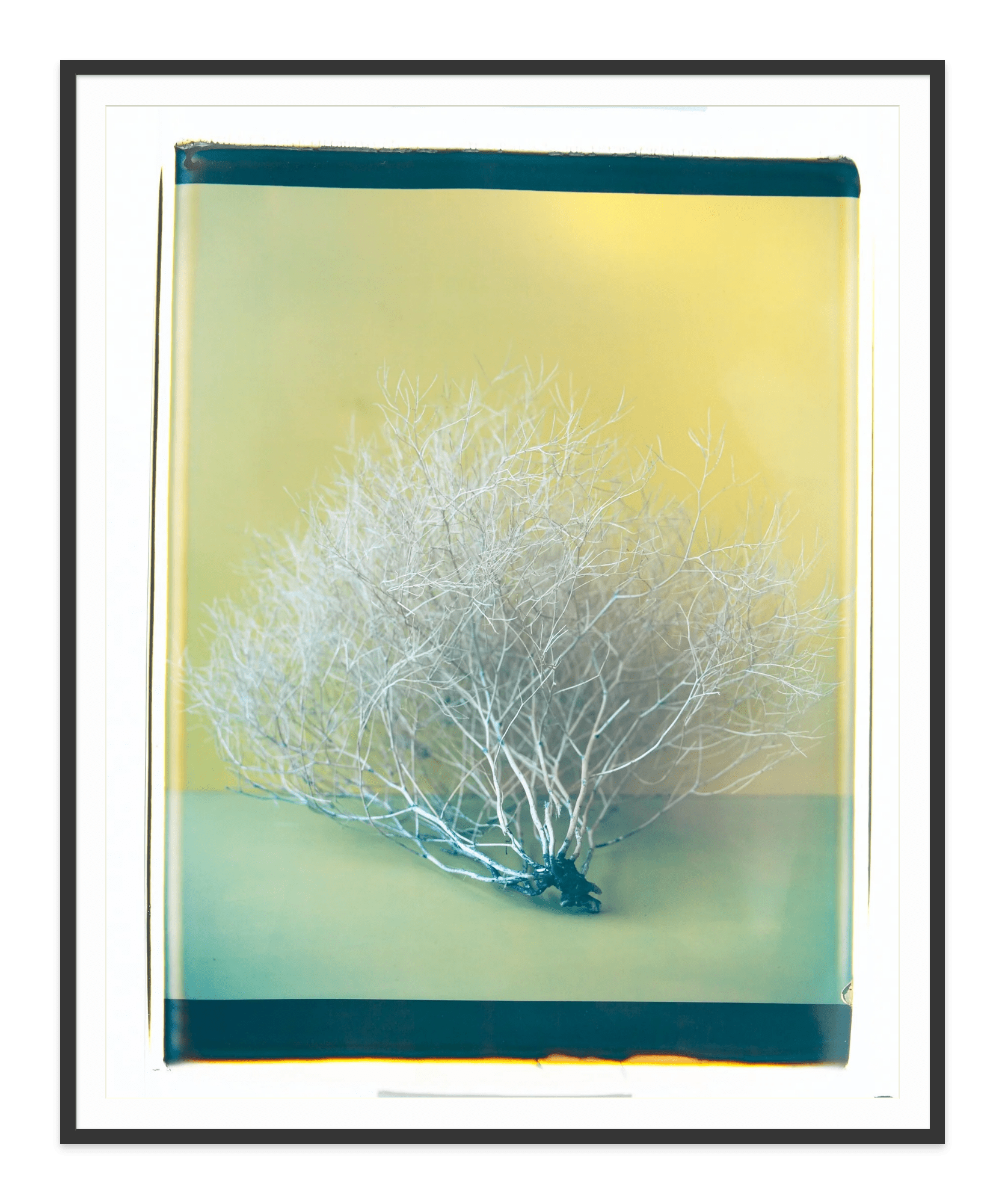- Jules Frazier Fine Art Photographs