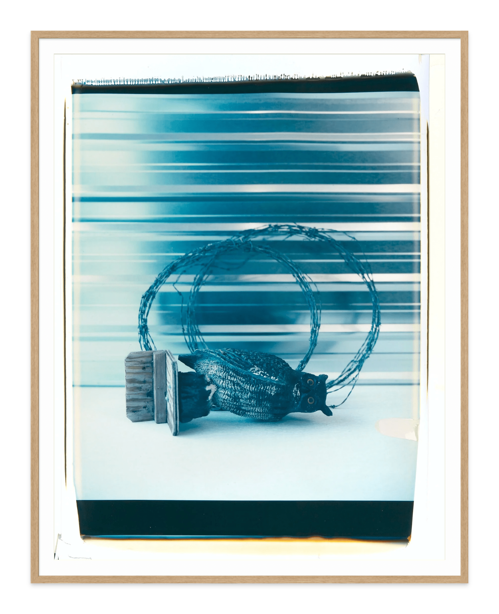 - Jules Frazier Fine Art Photographs