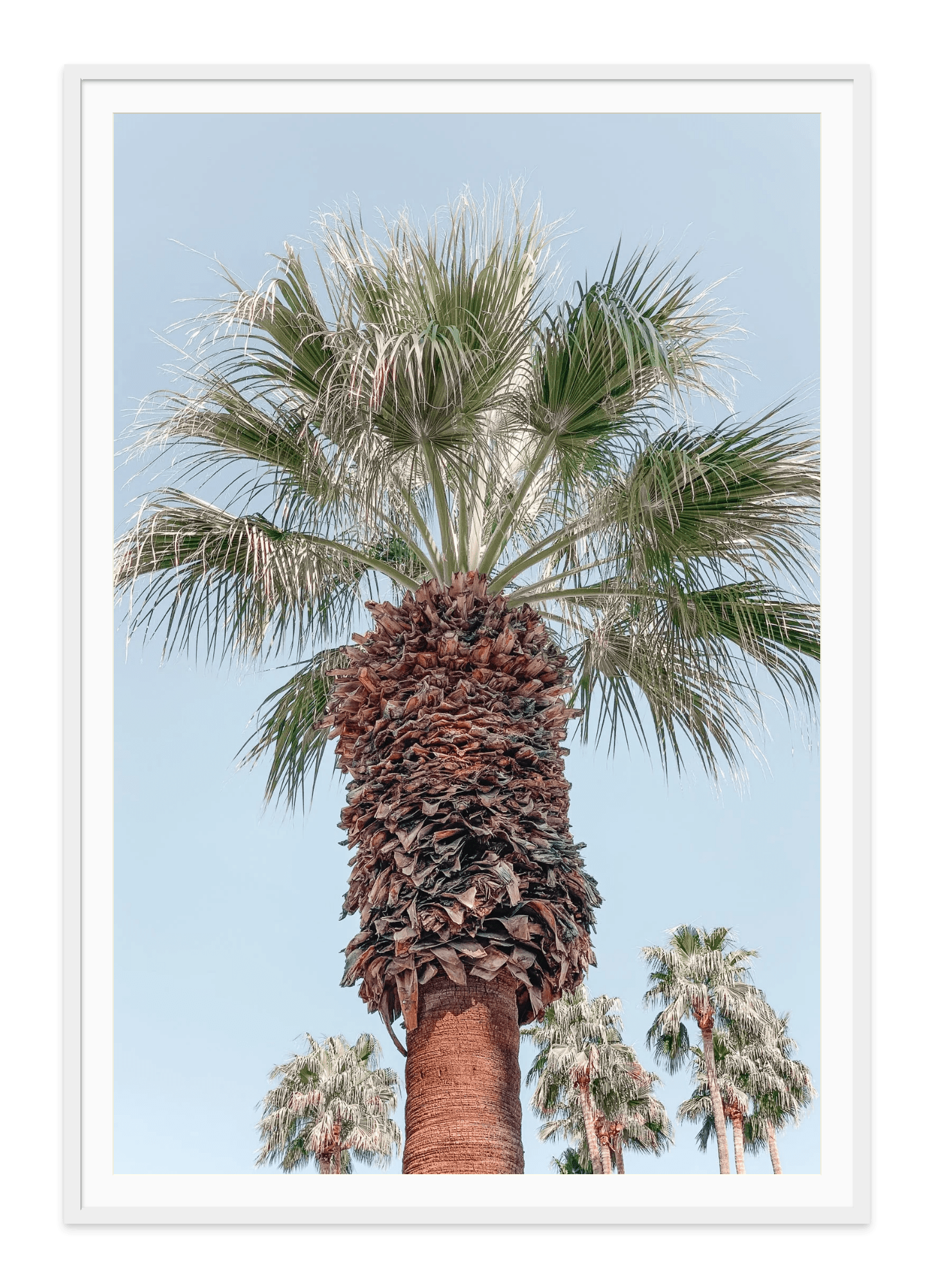 - Jules Frazier Fine Art Photographs