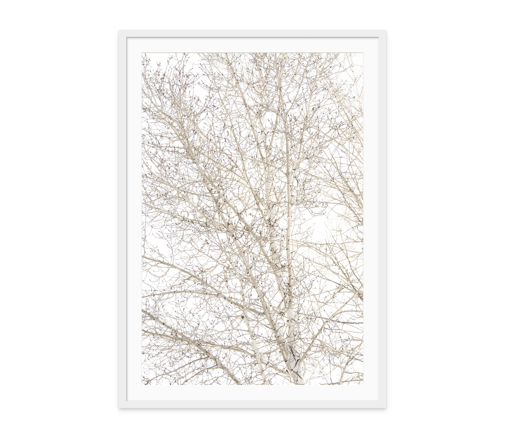 - Jules Frazier Fine Art Photographs