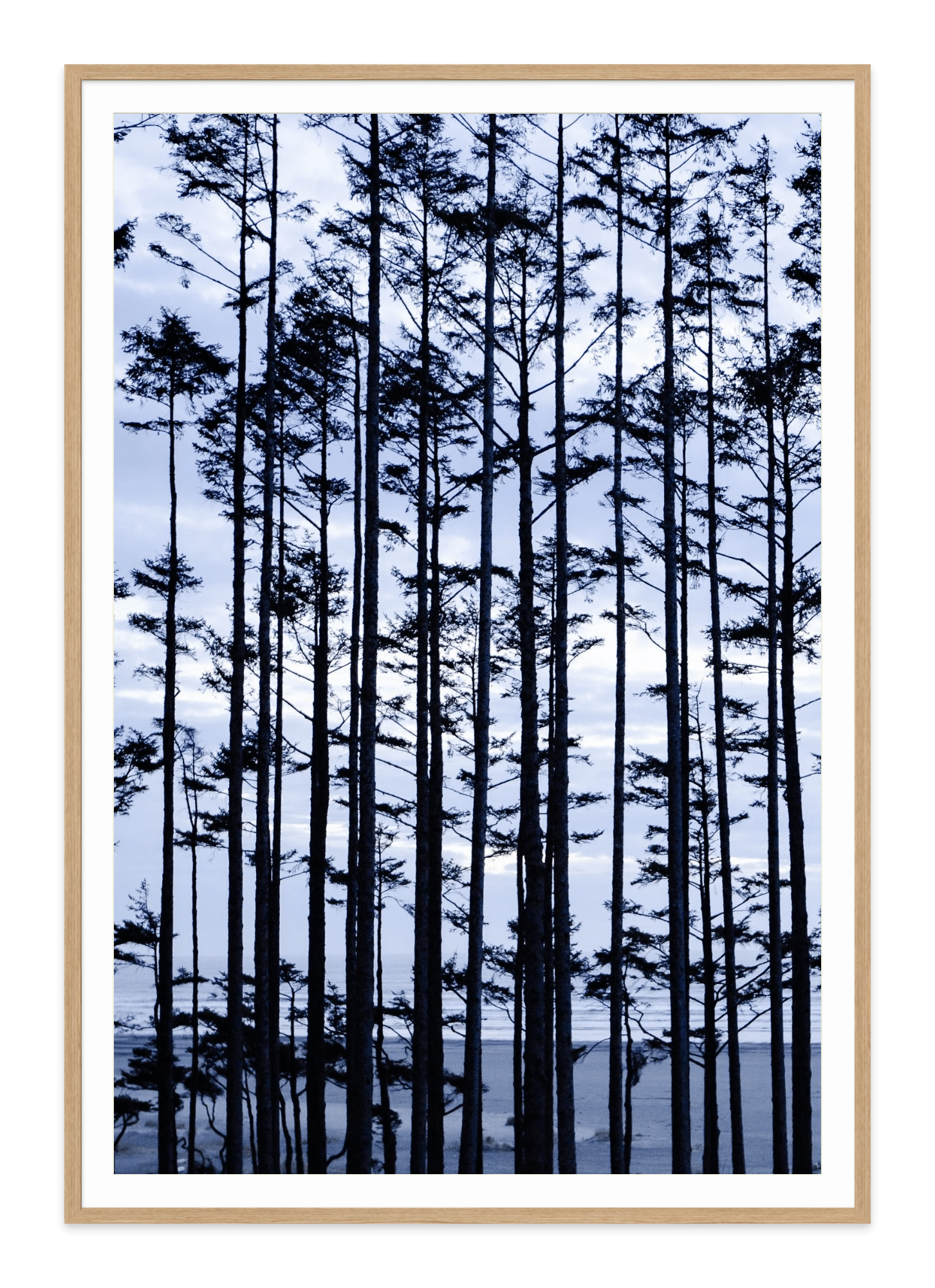 - Jules Frazier Fine Art Photographs