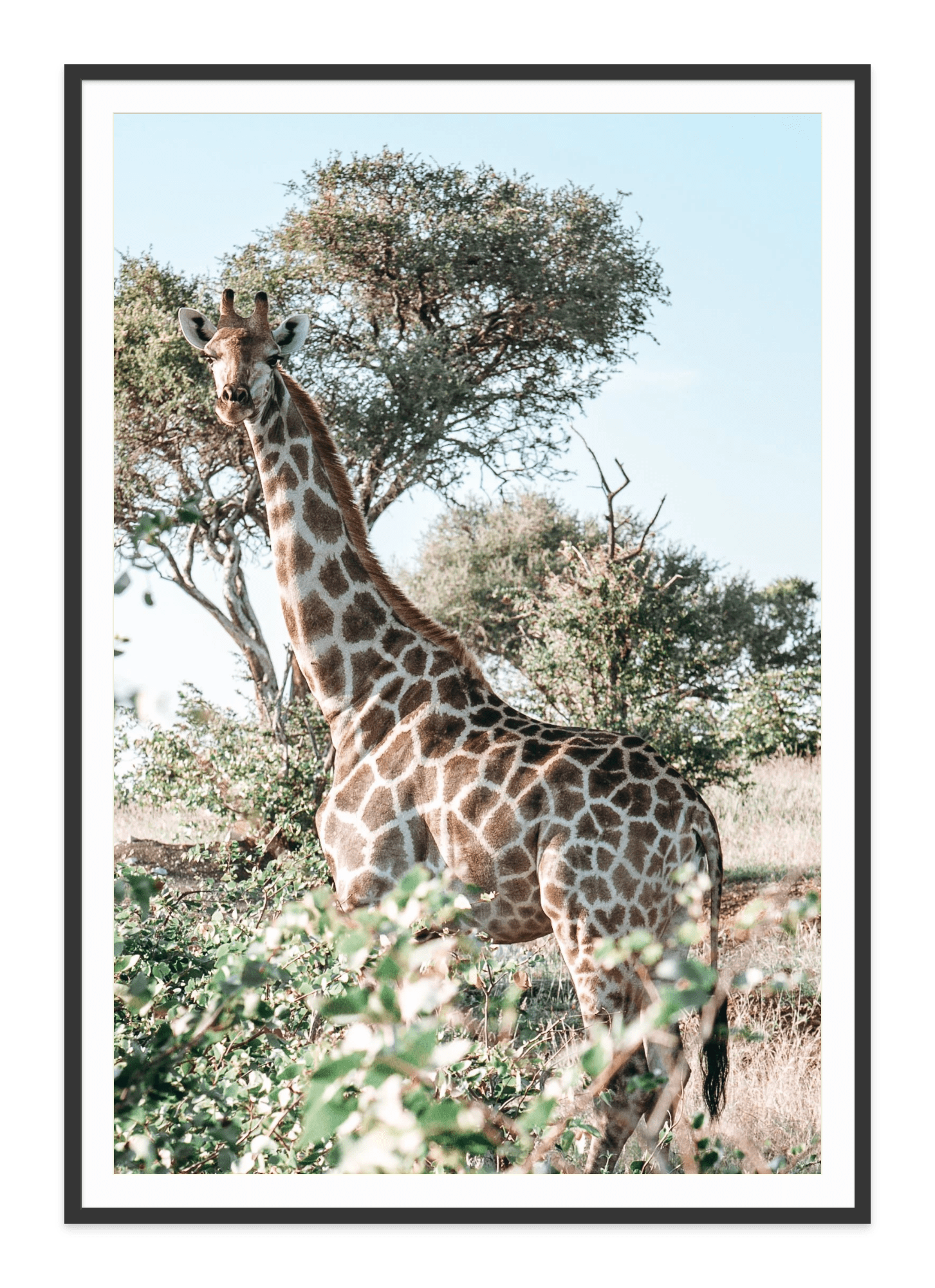 - Jules Frazier Fine Art Photographs