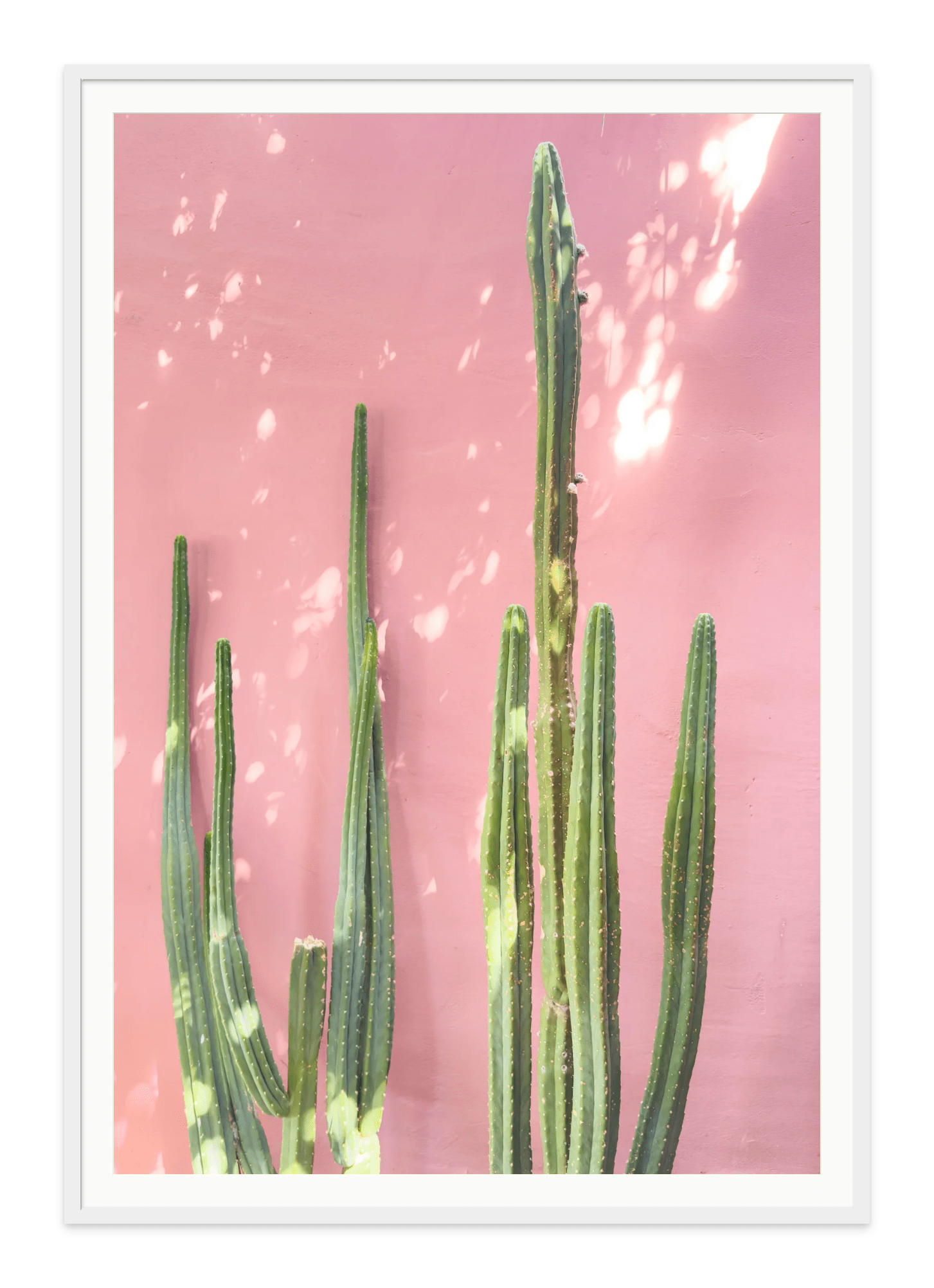 - Jules Frazier Fine Art Photographs