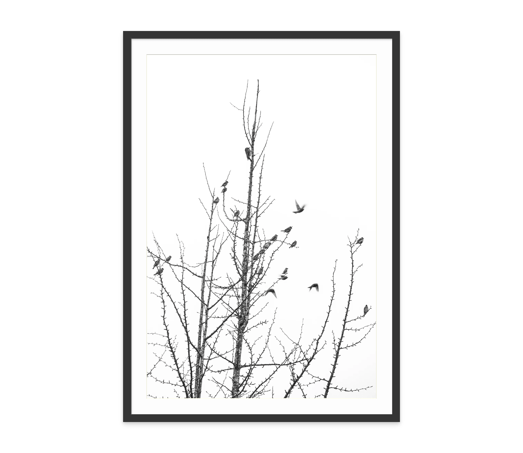 - Jules Frazier Fine Art Photographs