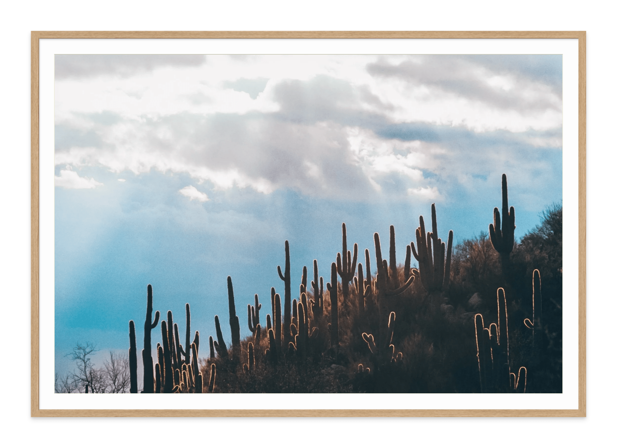 - Jules Frazier Fine Art Photographs