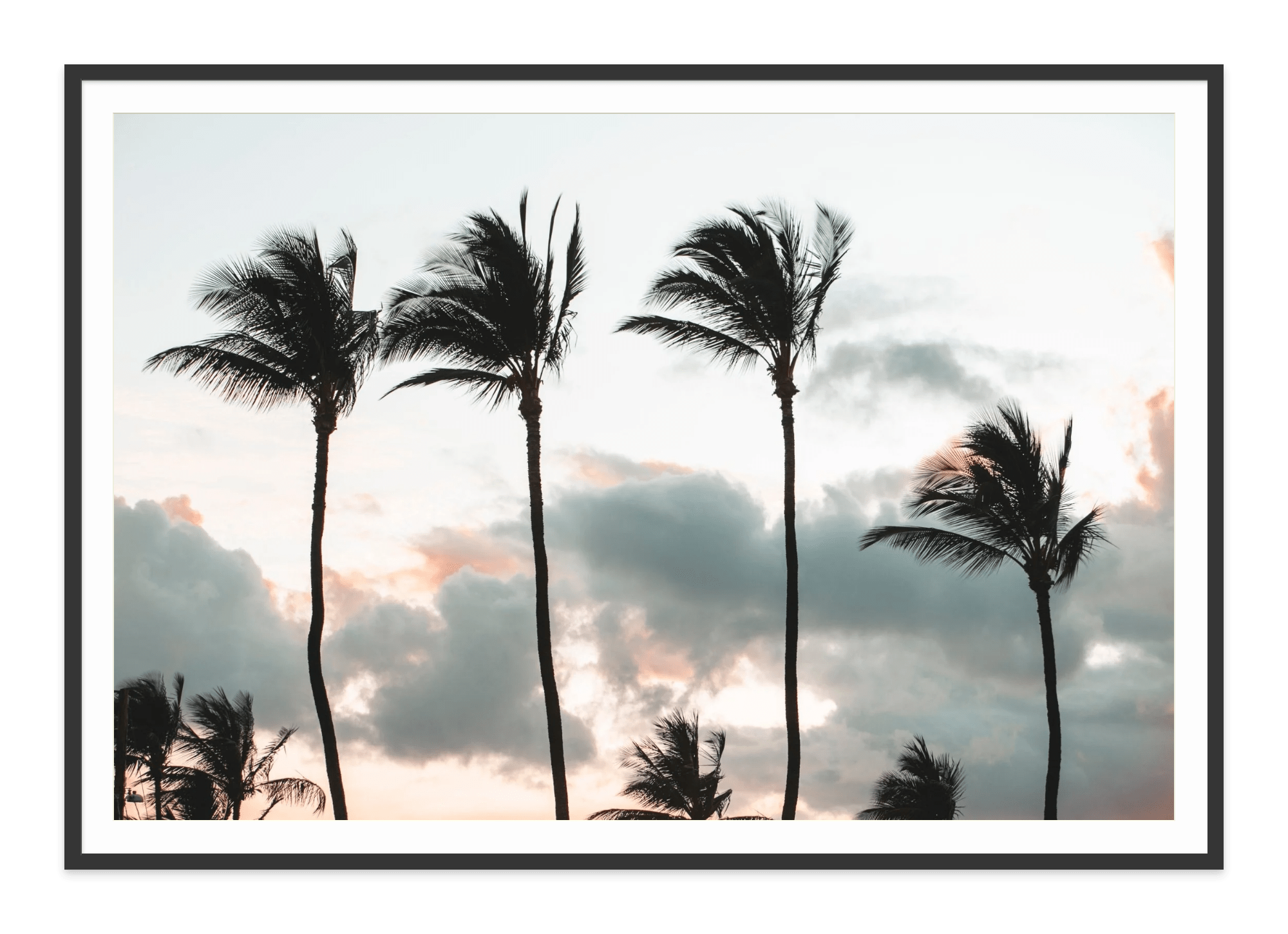 - Jules Frazier Fine Art Photographs