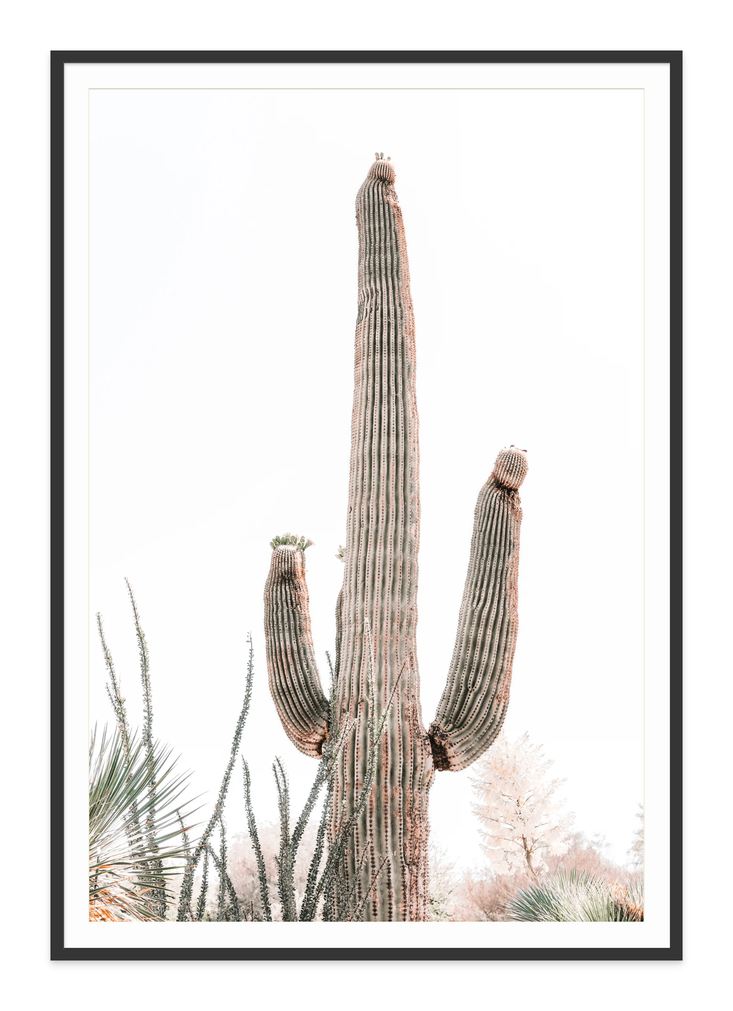 - Jules Frazier Fine Art Photographs