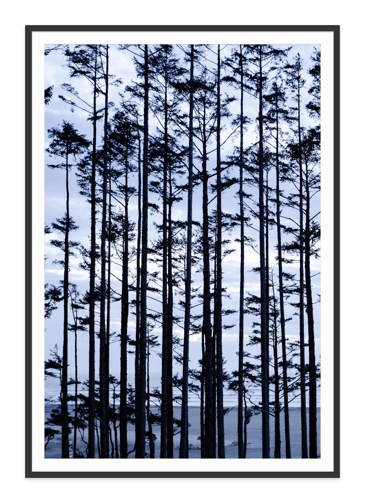 - Jules Frazier Fine Art Photographs