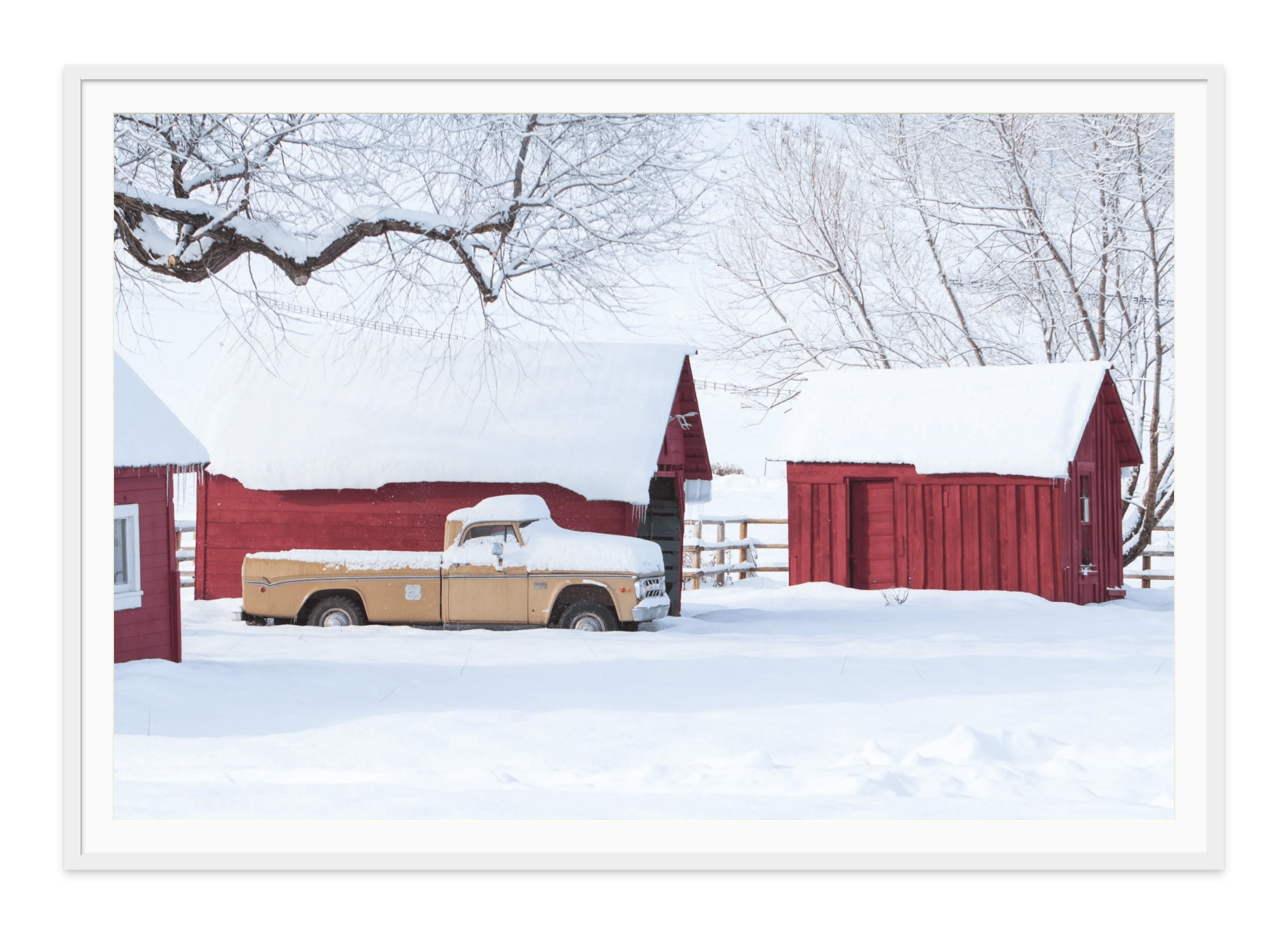 - Jules Frazier Fine Art Photographs
