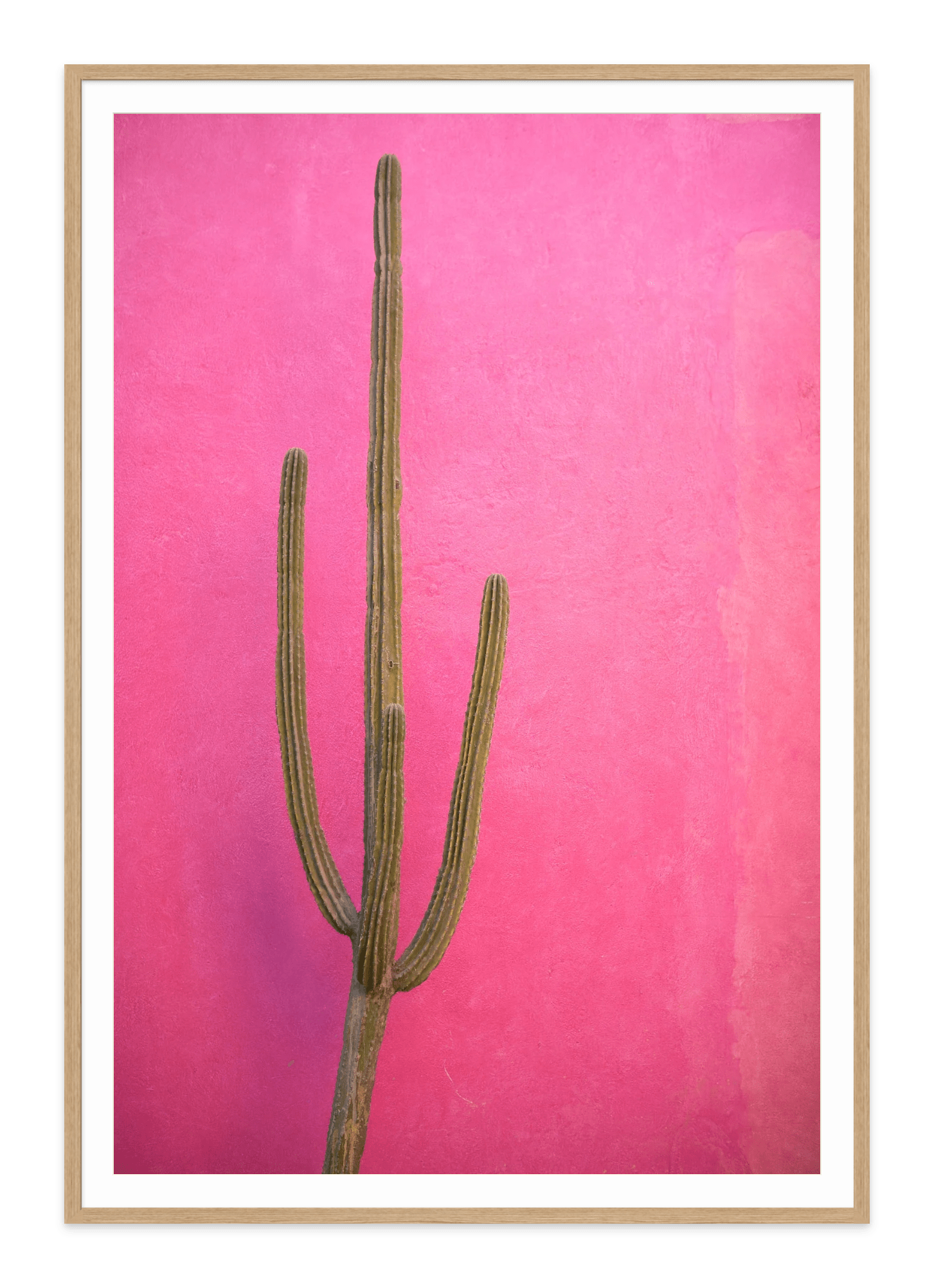 - Jules Frazier Fine Art Photographs