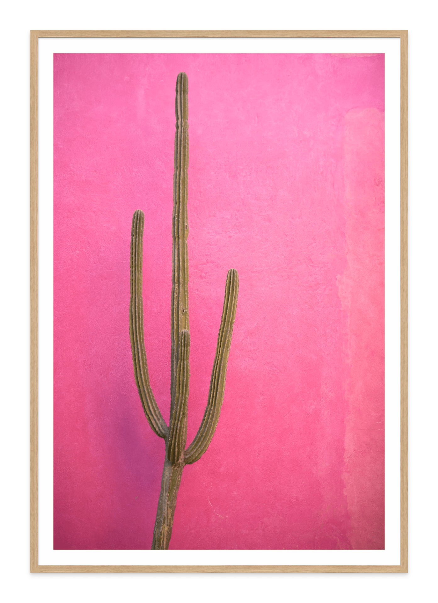 natural frame-Pink wall with cactus