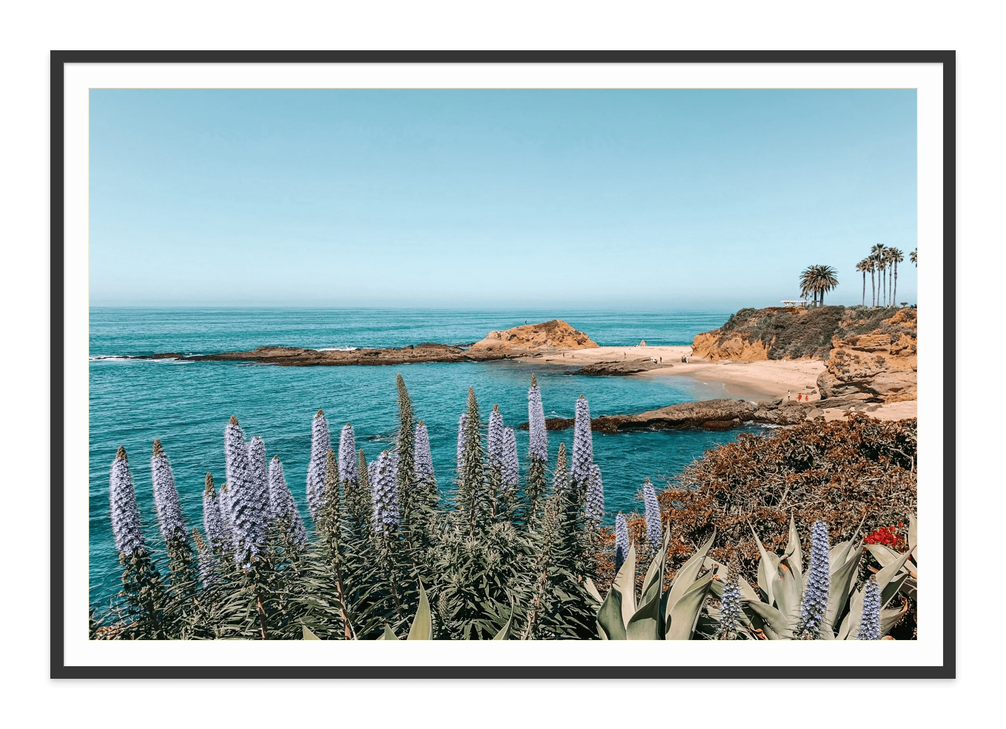 - Jules Frazier Fine Art Photographs