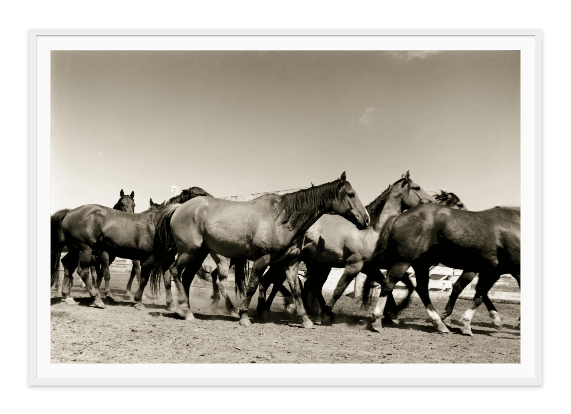 - Jules Frazier Fine Art Photographs