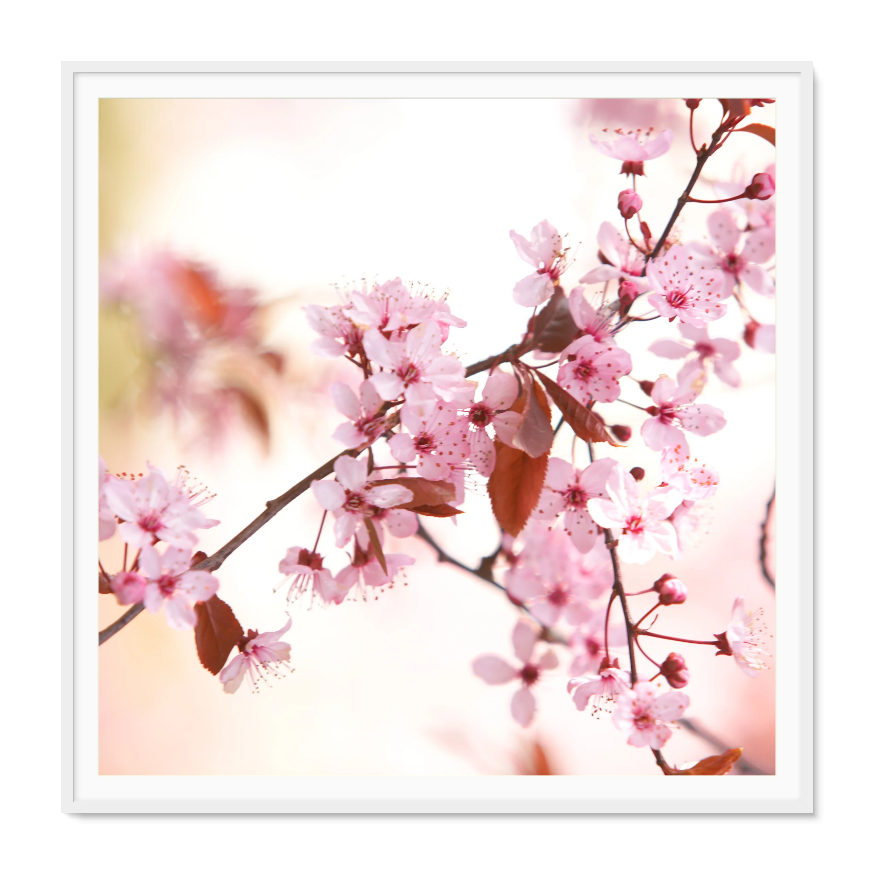 Image rendered by ArtFlows