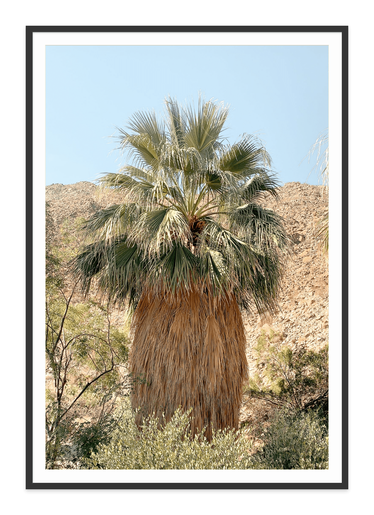 - Jules Frazier Fine Art Photographs
