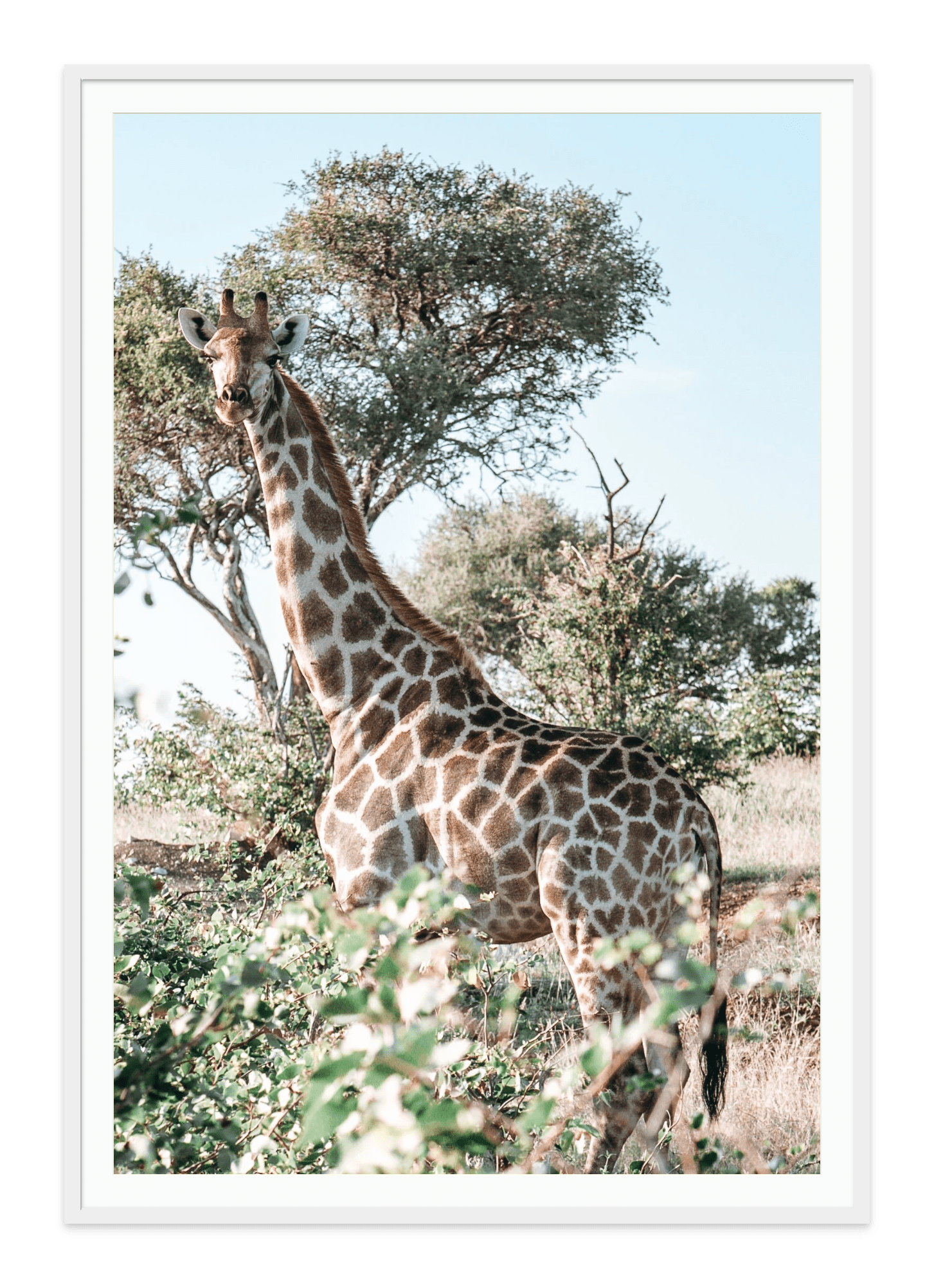 - Jules Frazier Fine Art Photographs