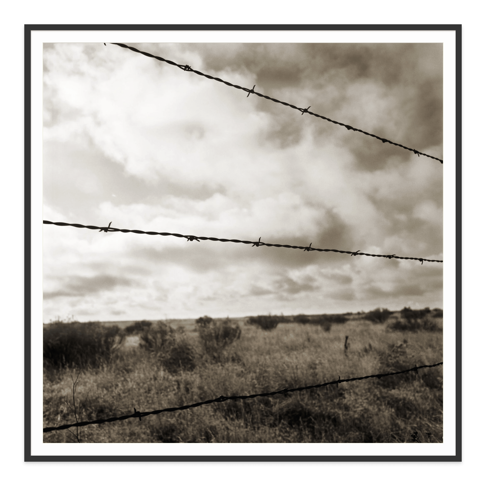 - Jules Frazier Fine Art Photographs