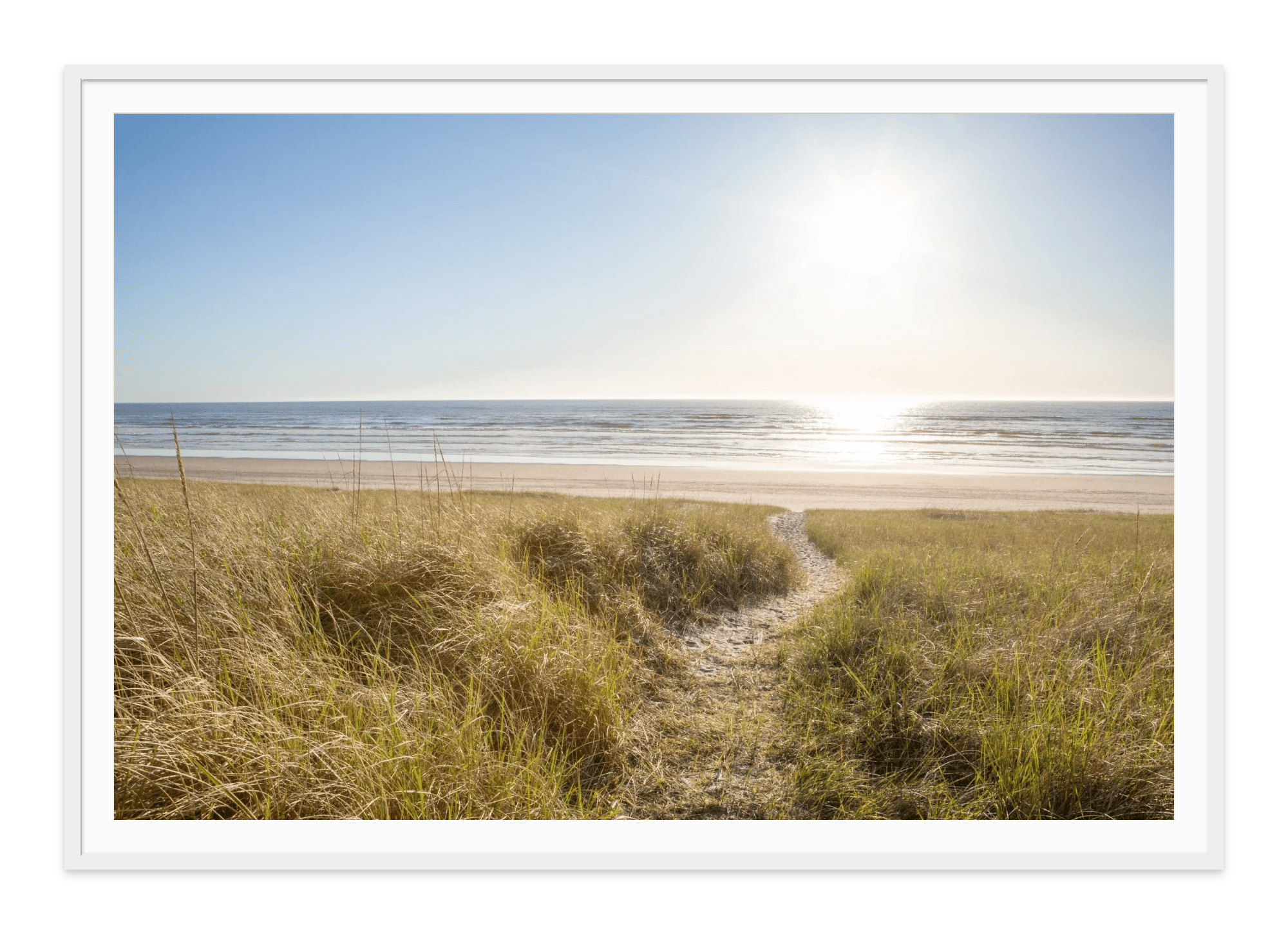 - Jules Frazier Fine Art Photographs