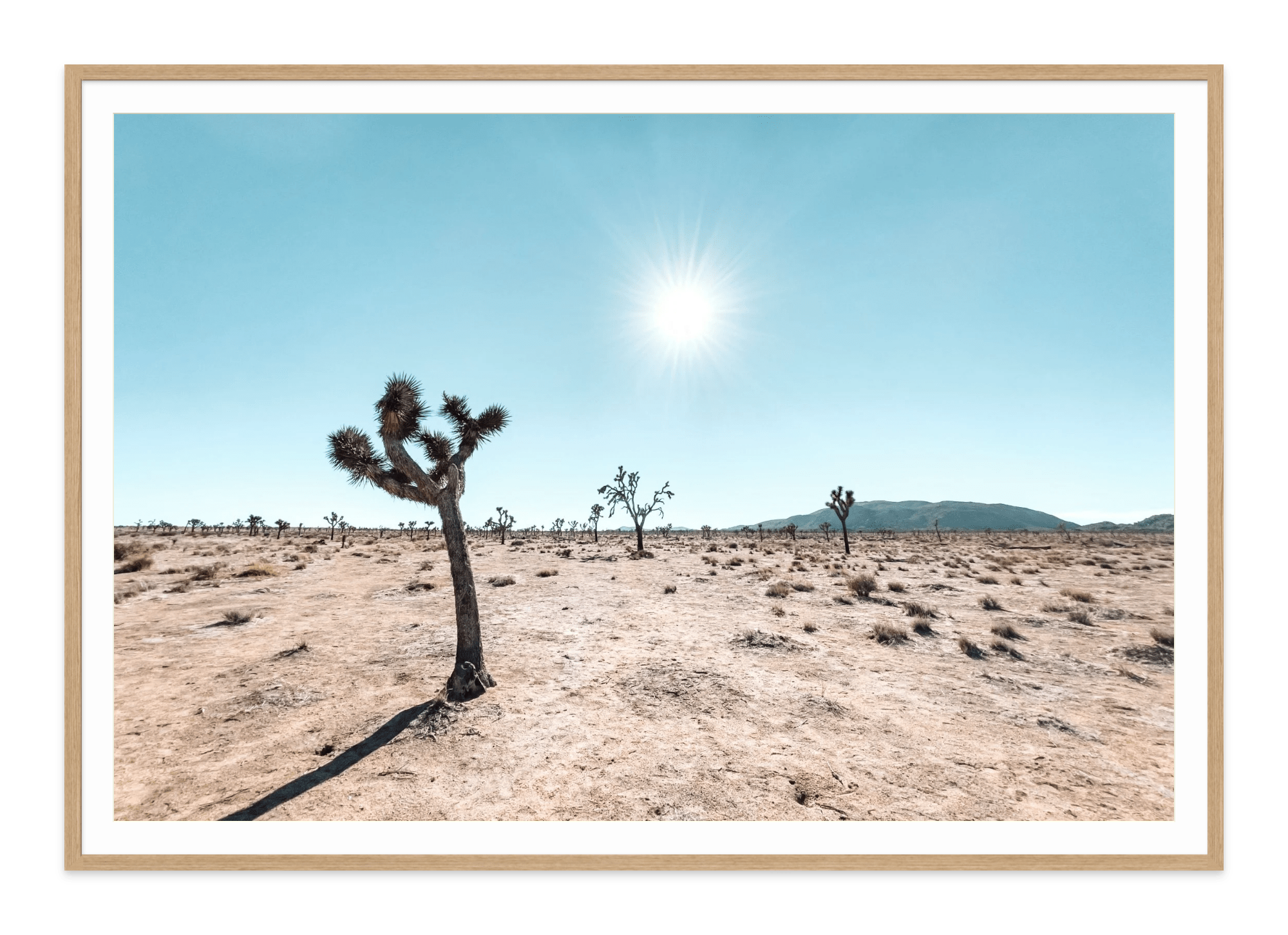 - Jules Frazier Fine Art Photographs