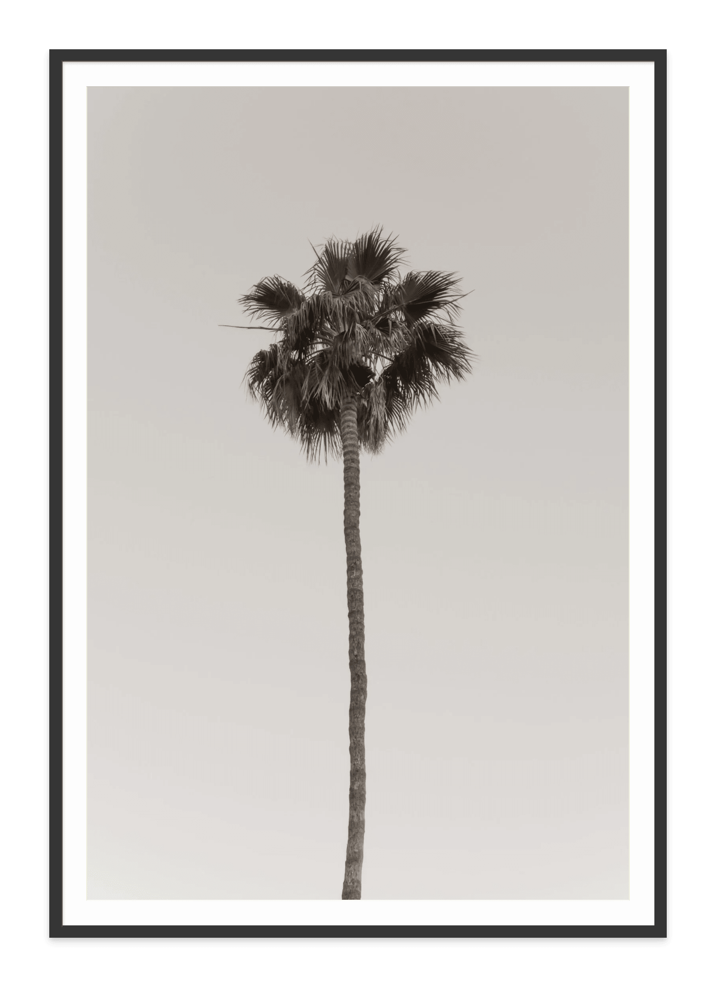 - Jules Frazier Fine Art Photographs