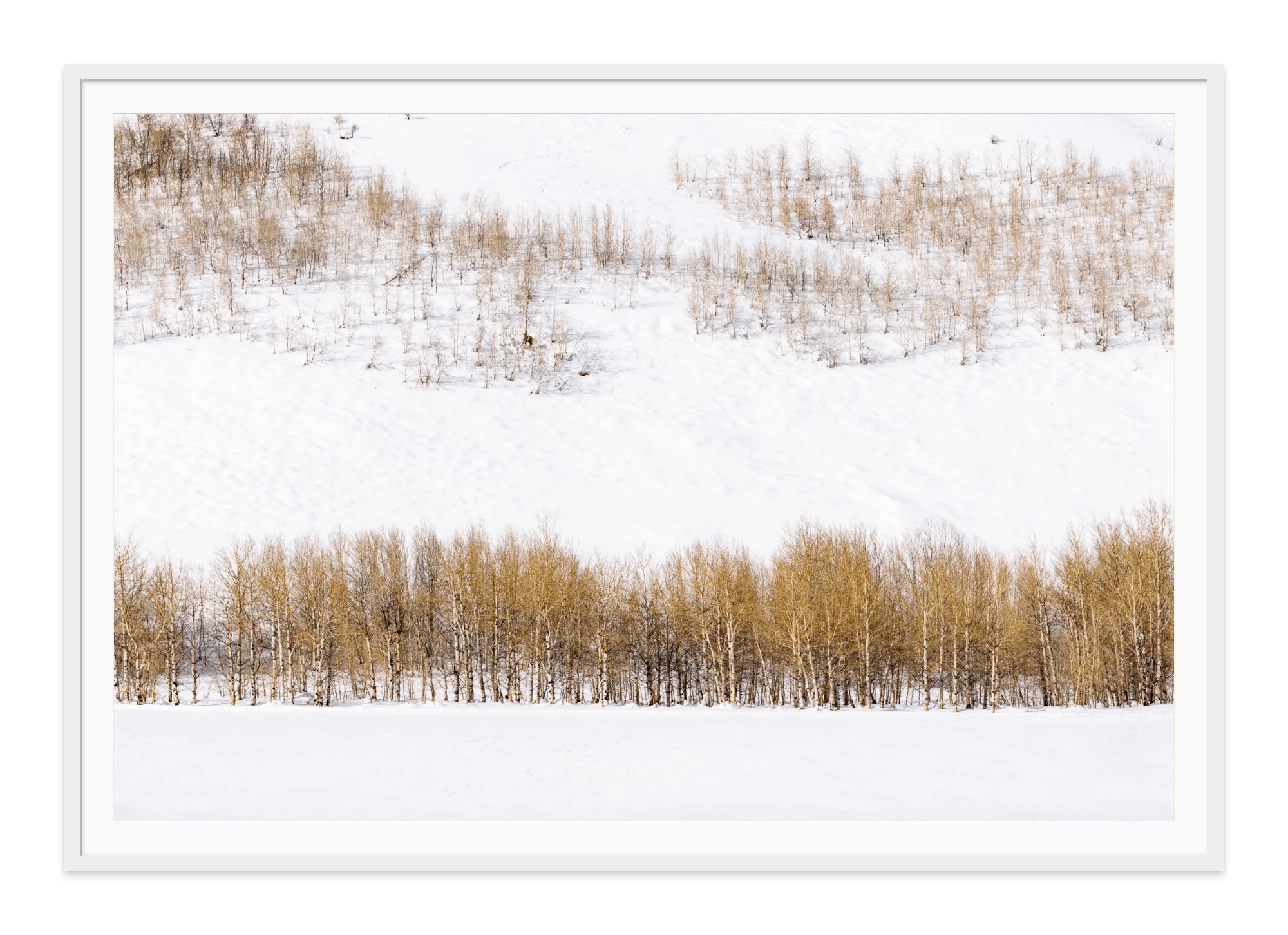 - Jules Frazier Fine Art Photographs