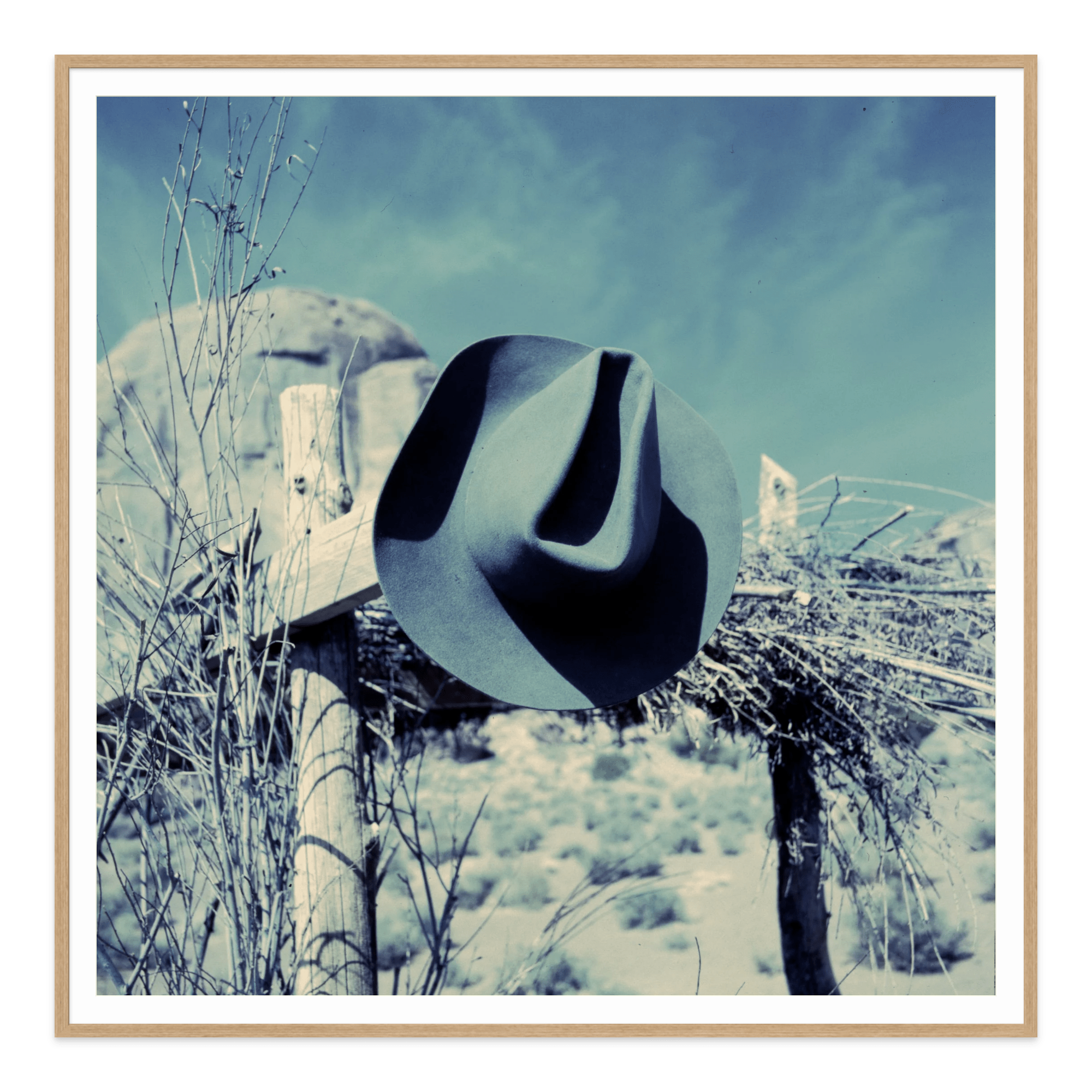 - Jules Frazier Fine Art Photographs