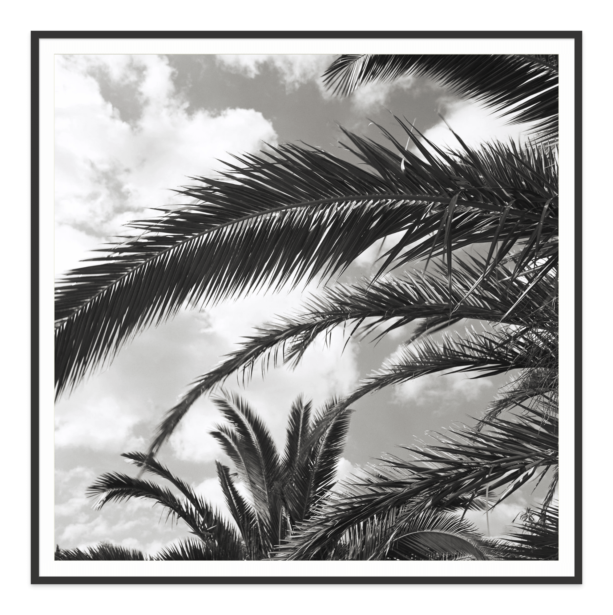 - Jules Frazier Fine Art Photographs