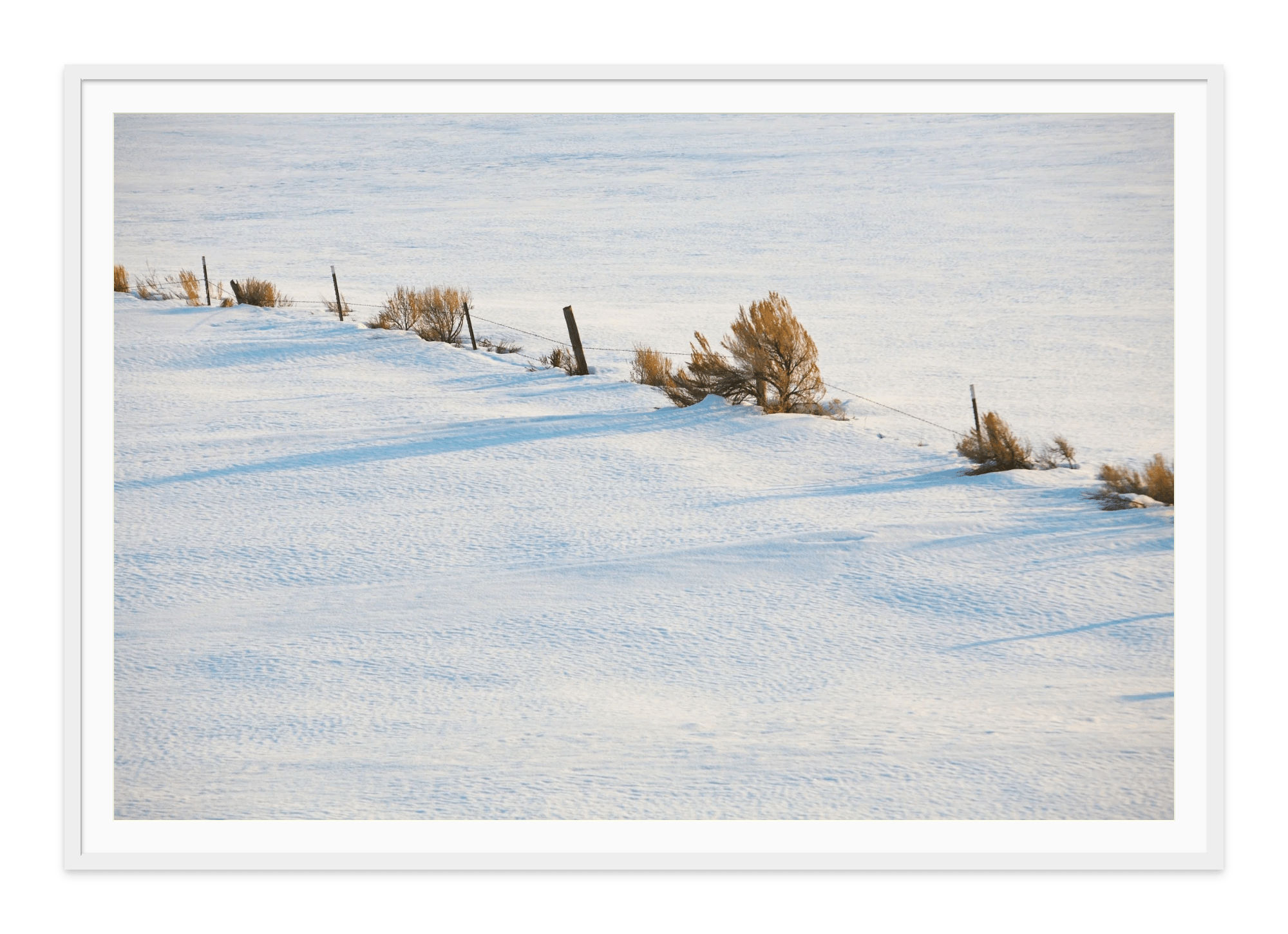 - Jules Frazier Fine Art Photographs