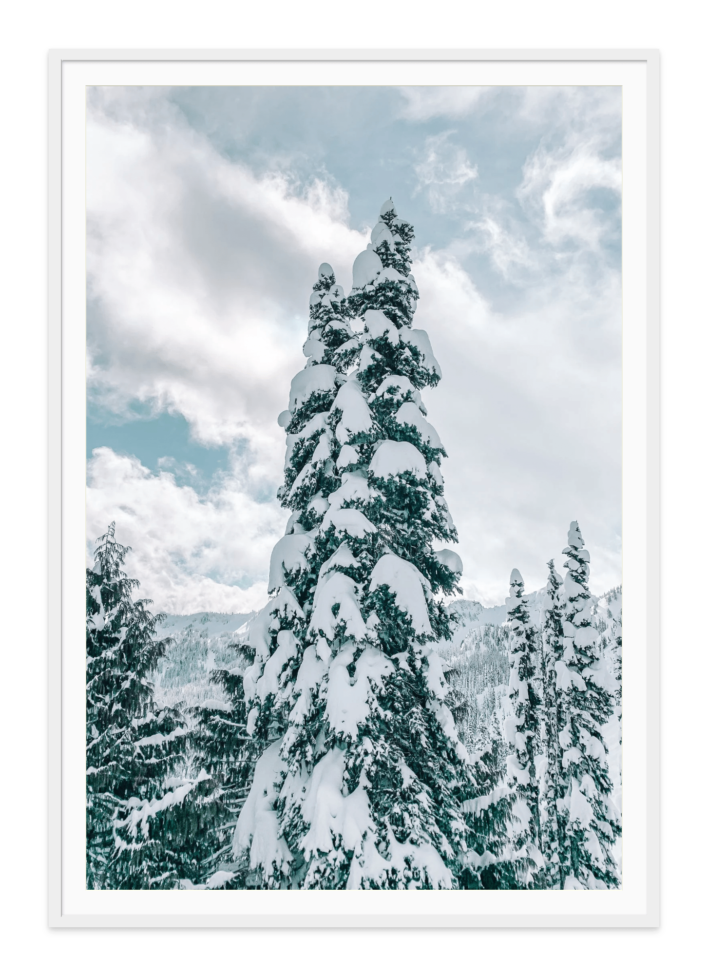 - Jules Frazier Fine Art Photographs