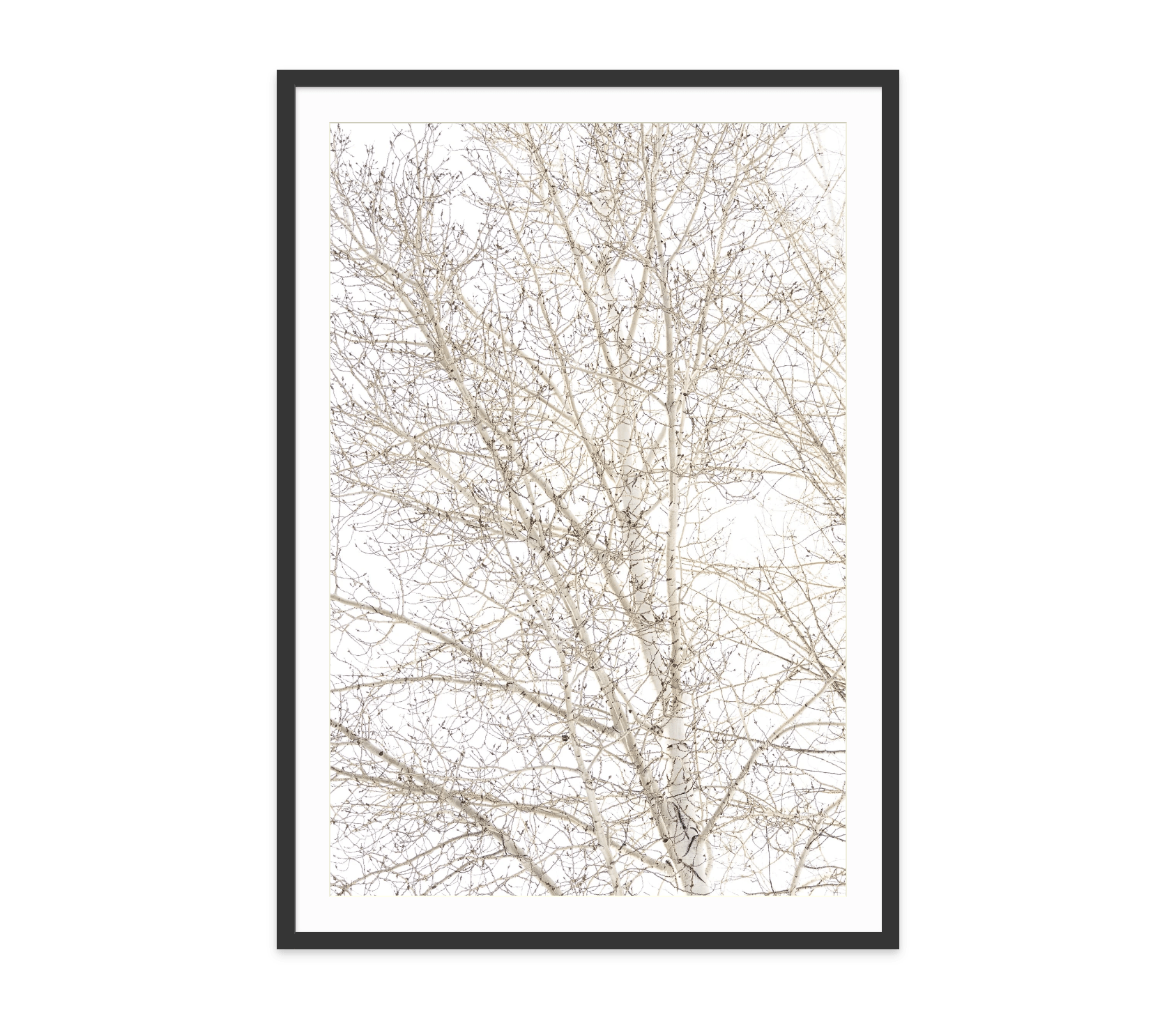 - Jules Frazier Fine Art Photographs