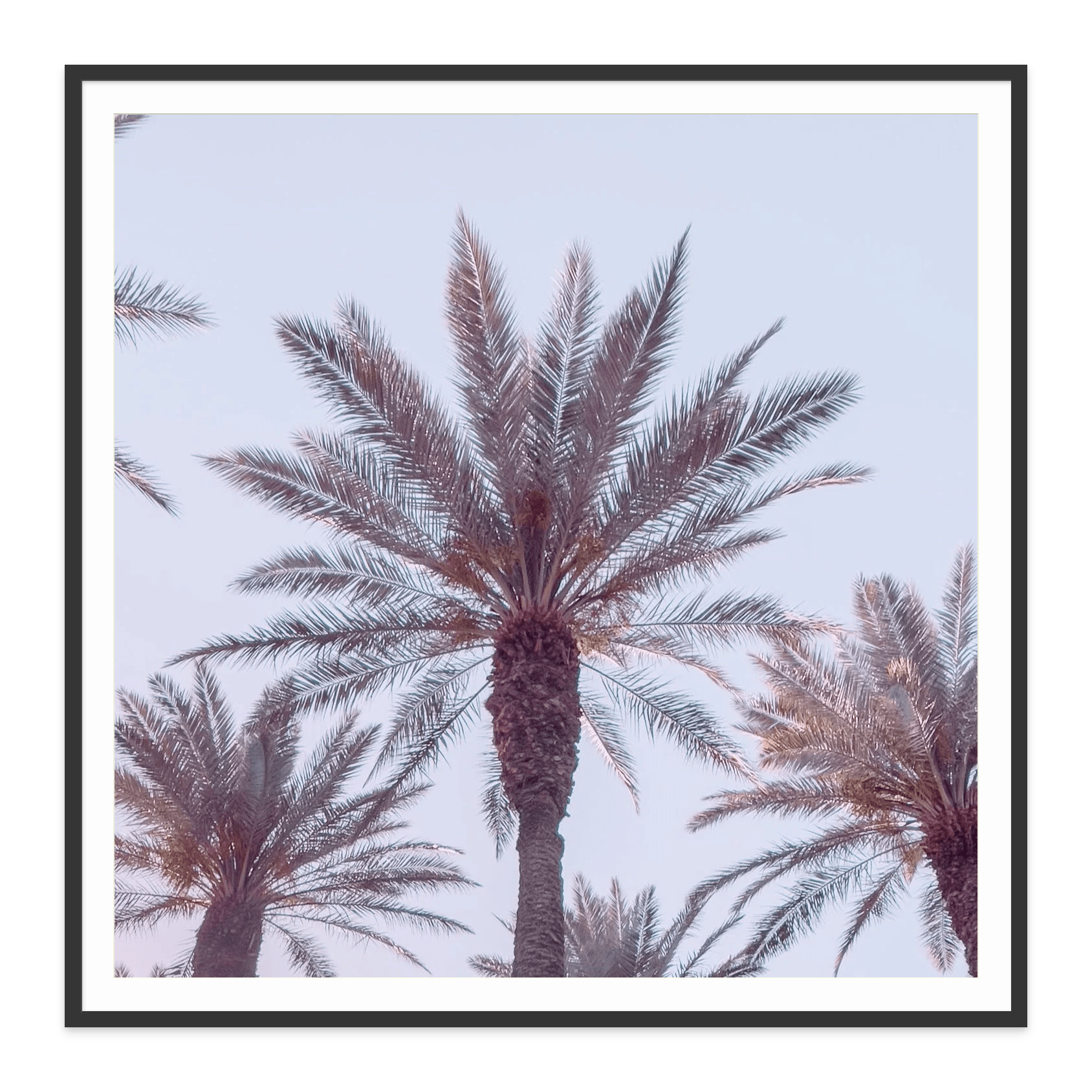 - Jules Frazier Fine Art Photographs