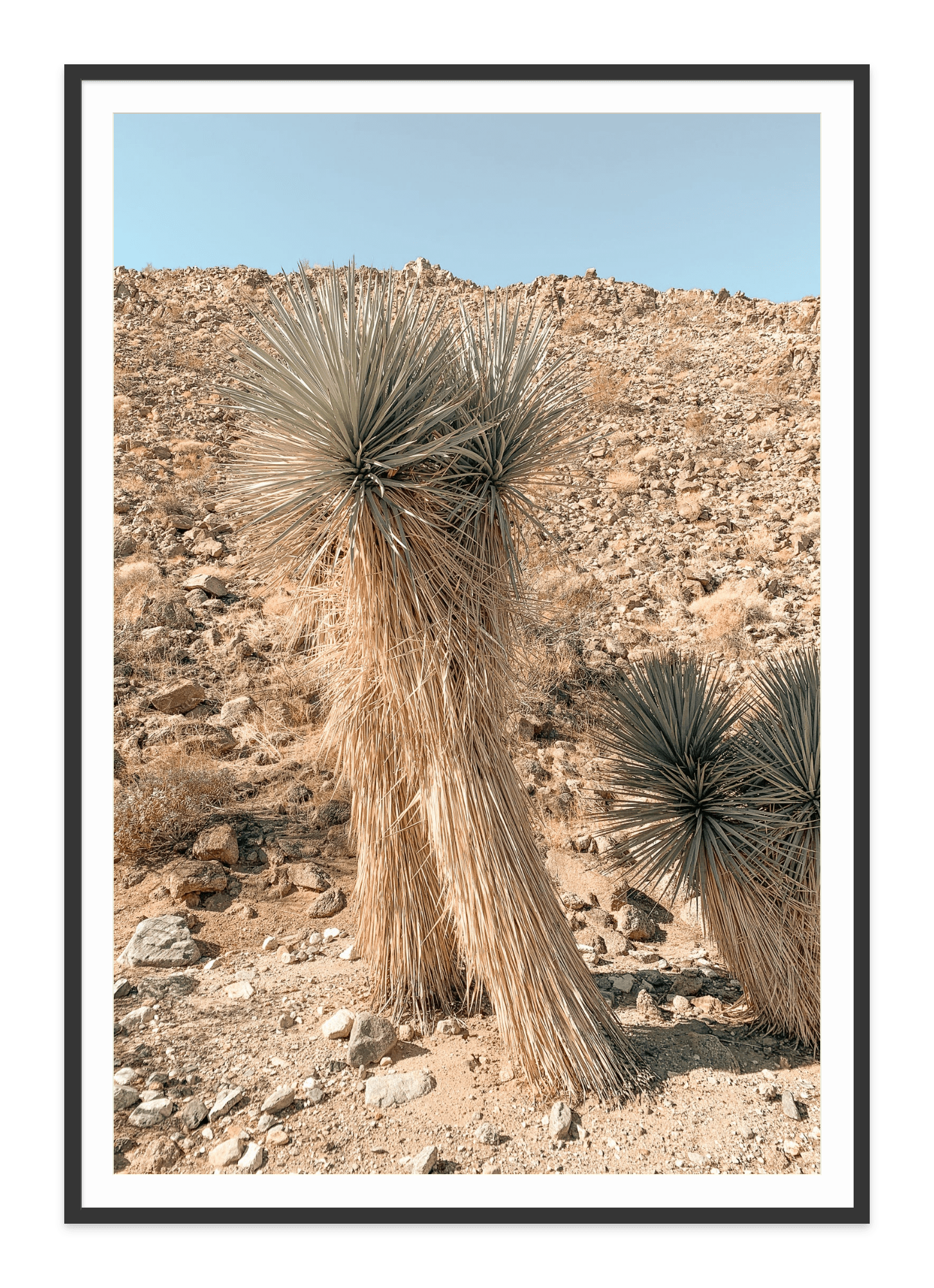 - Jules Frazier Fine Art Photographs