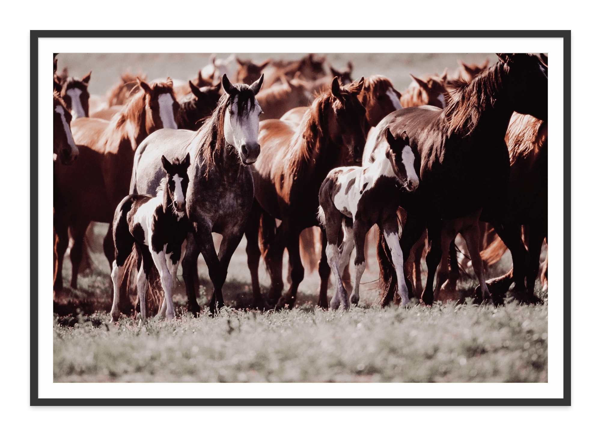 - Jules Frazier Fine Art Photographs