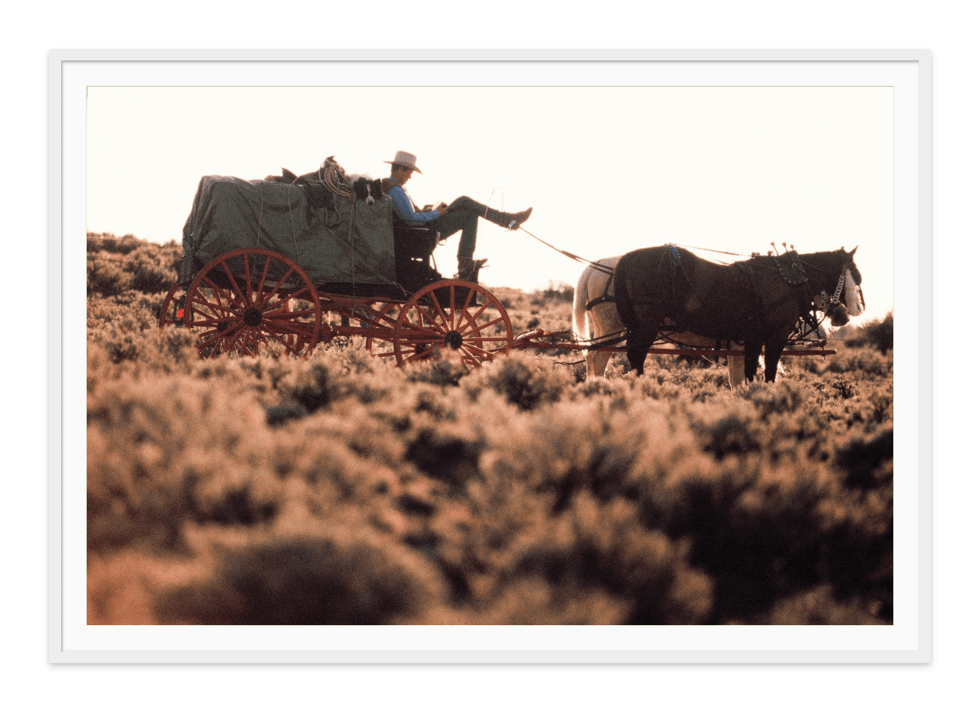 - Jules Frazier Fine Art Photographs