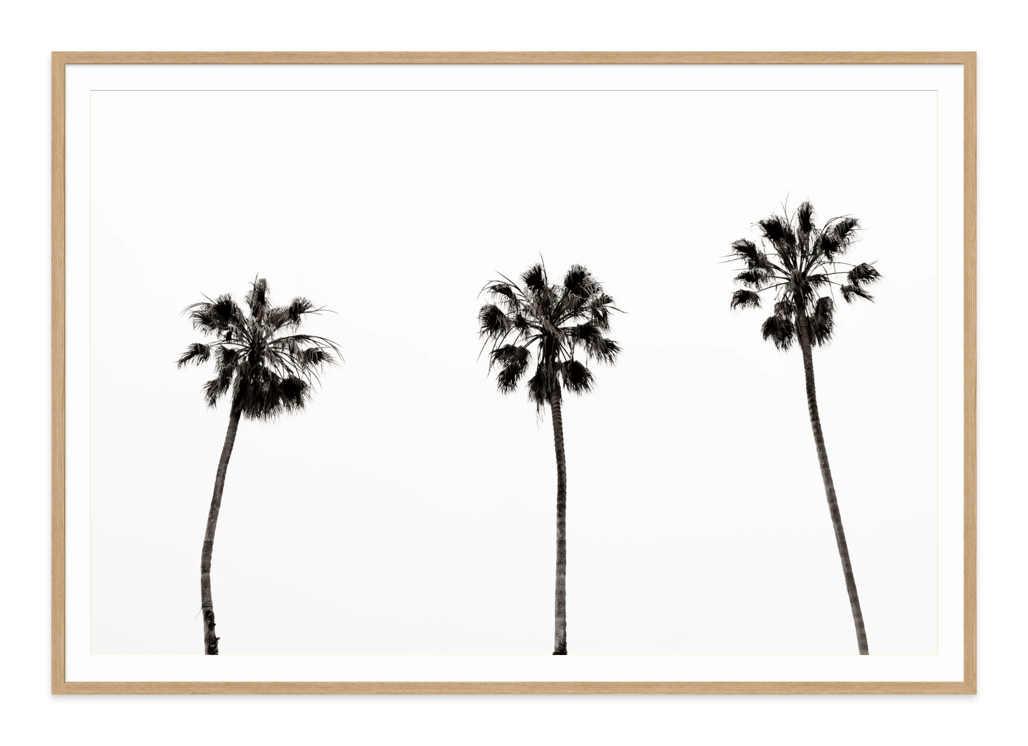- Jules Frazier Fine Art Photographs