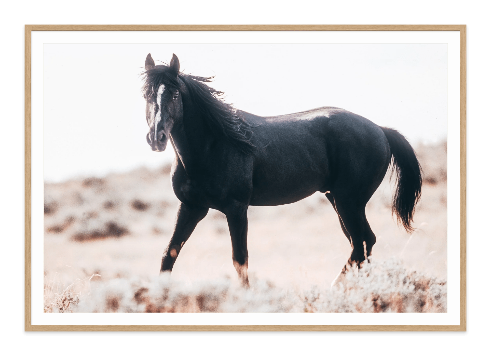 - Jules Frazier Fine Art Photographs
