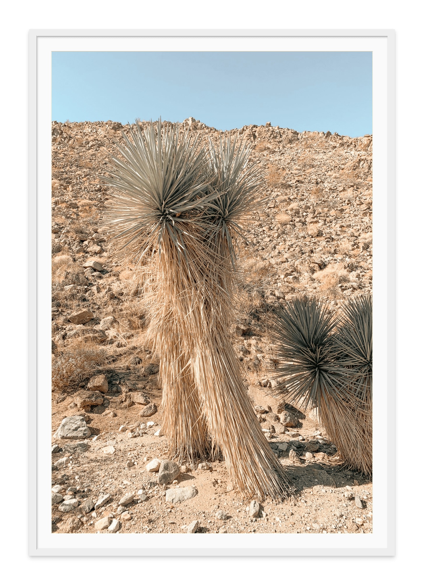 - Jules Frazier Fine Art Photographs
