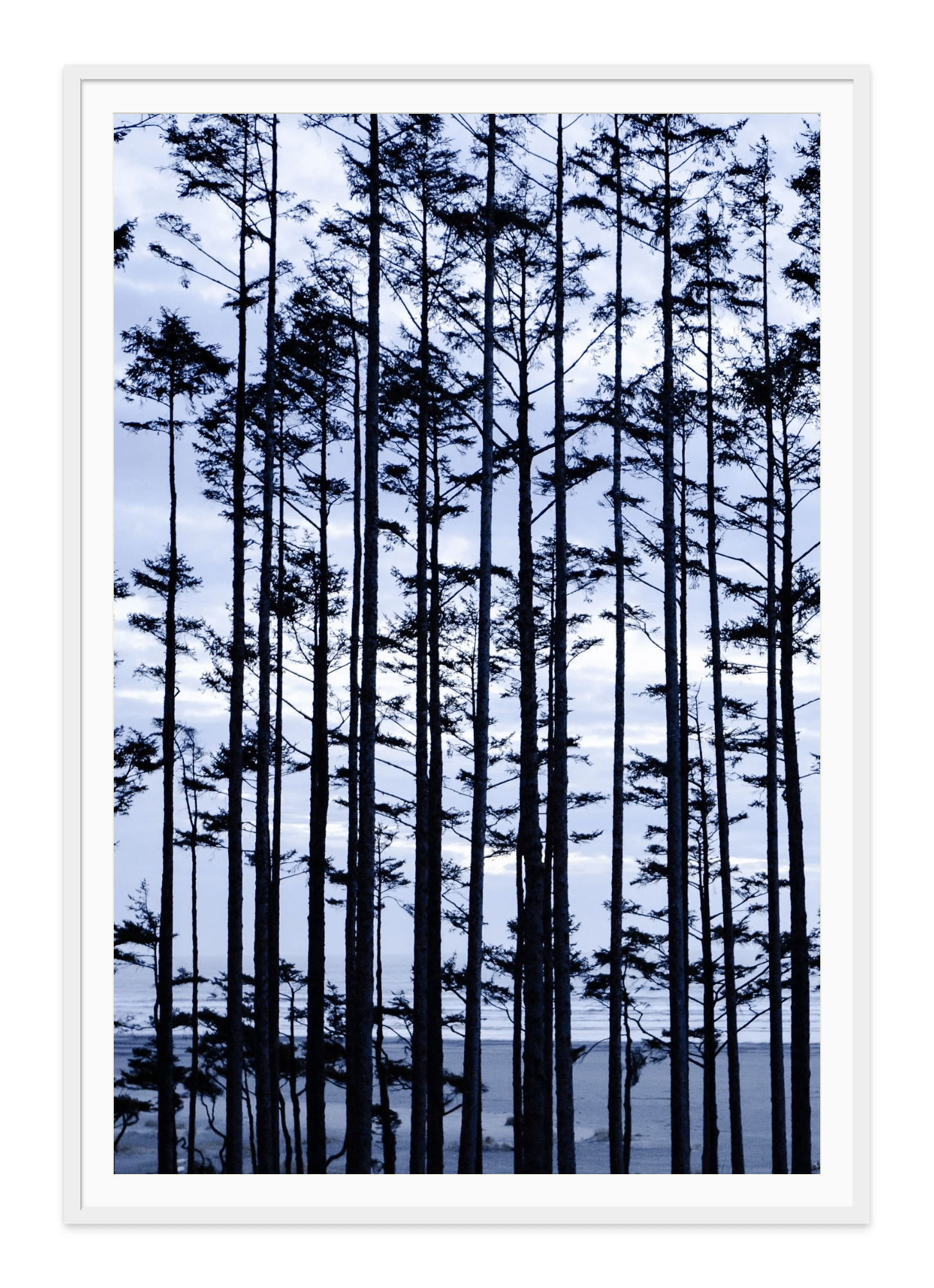 - Jules Frazier Fine Art Photographs