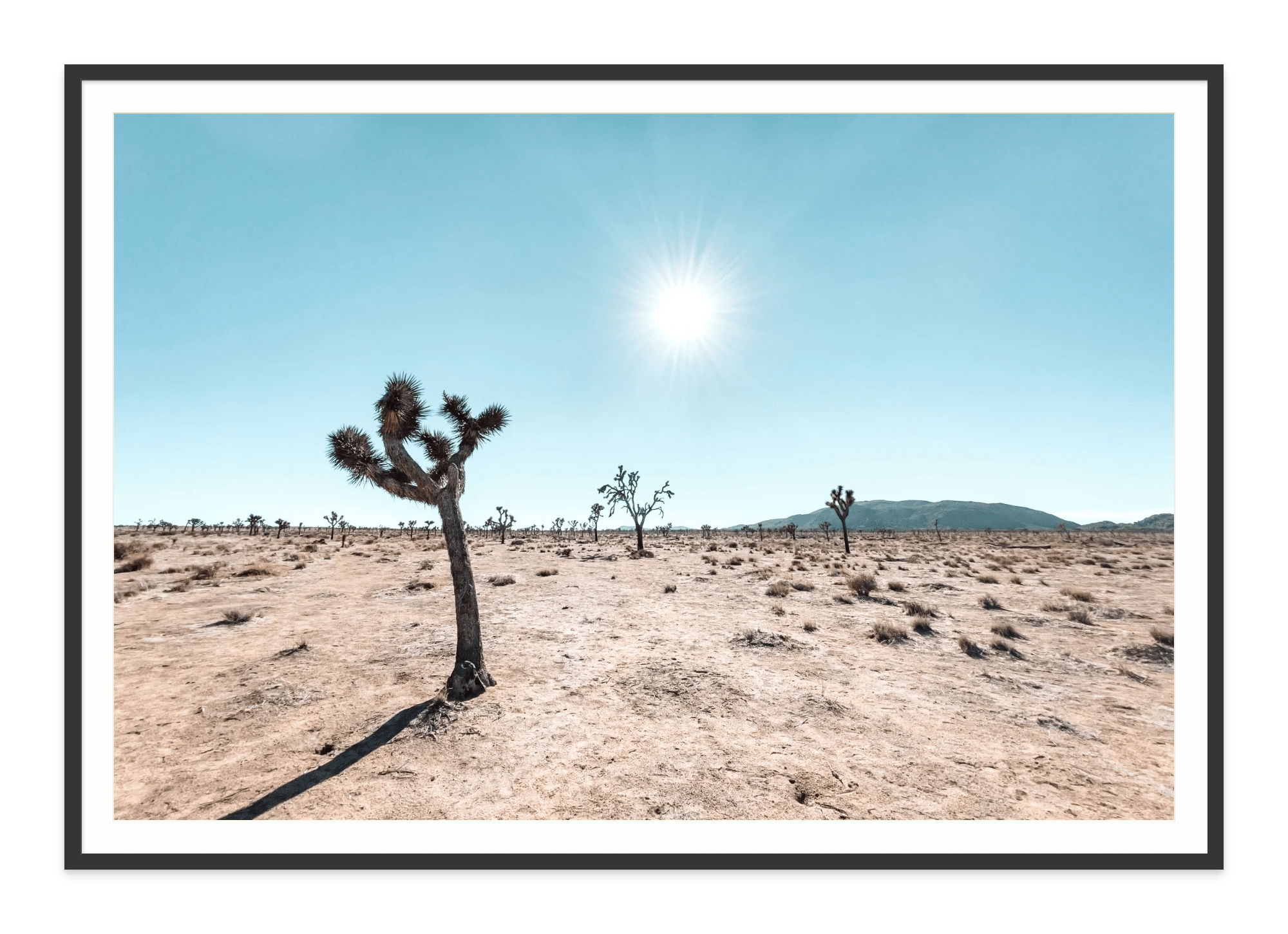 - Jules Frazier Fine Art Photographs