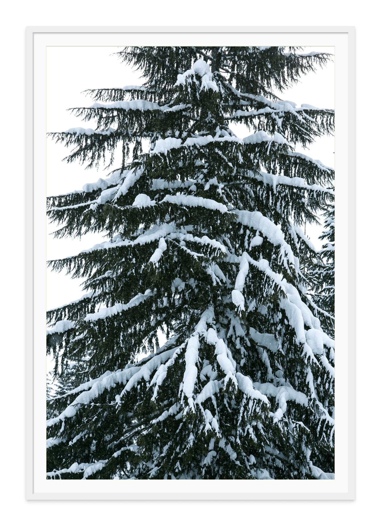 - Jules Frazier Fine Art Photographs