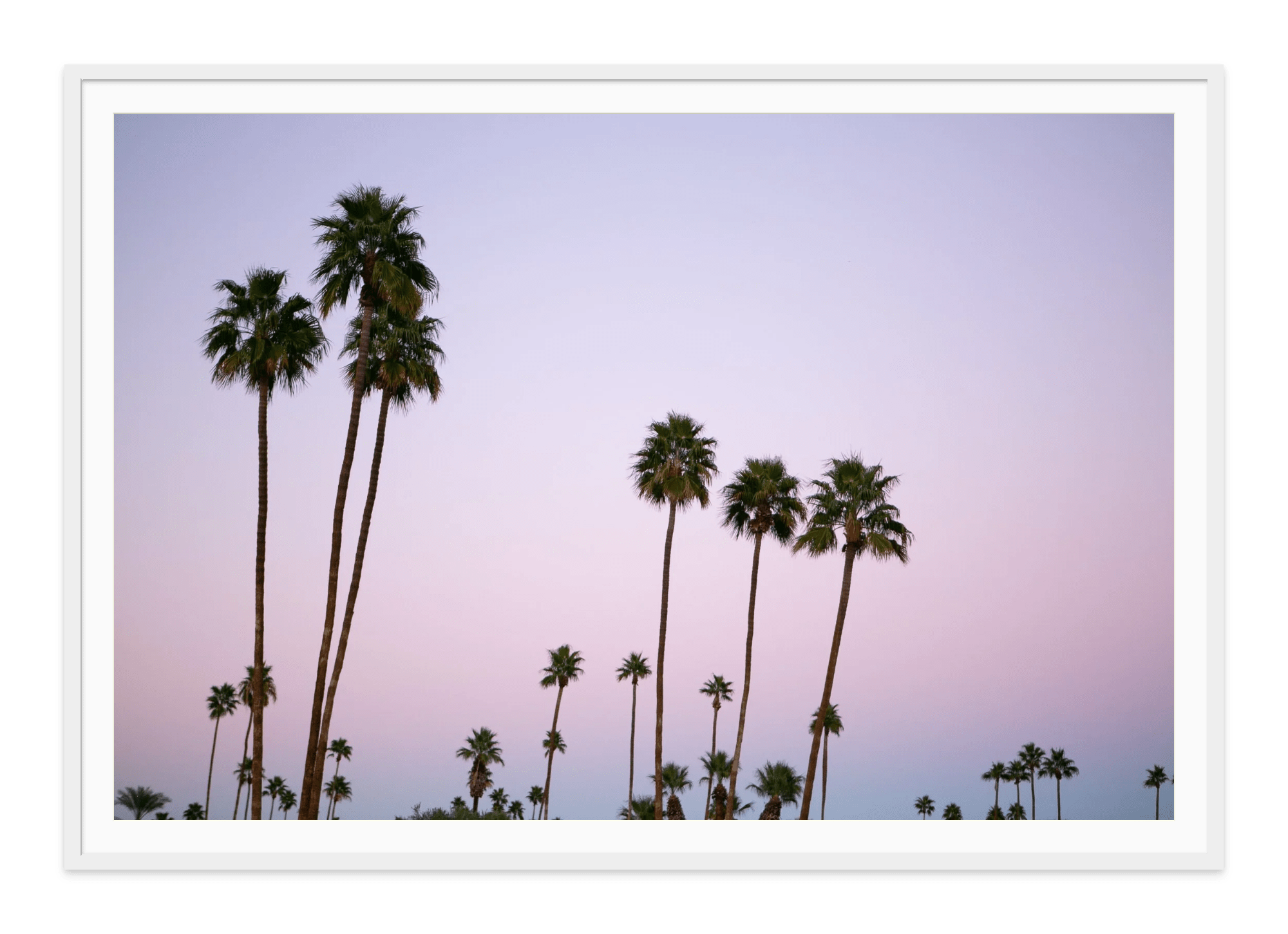 - Jules Frazier Fine Art Photographs