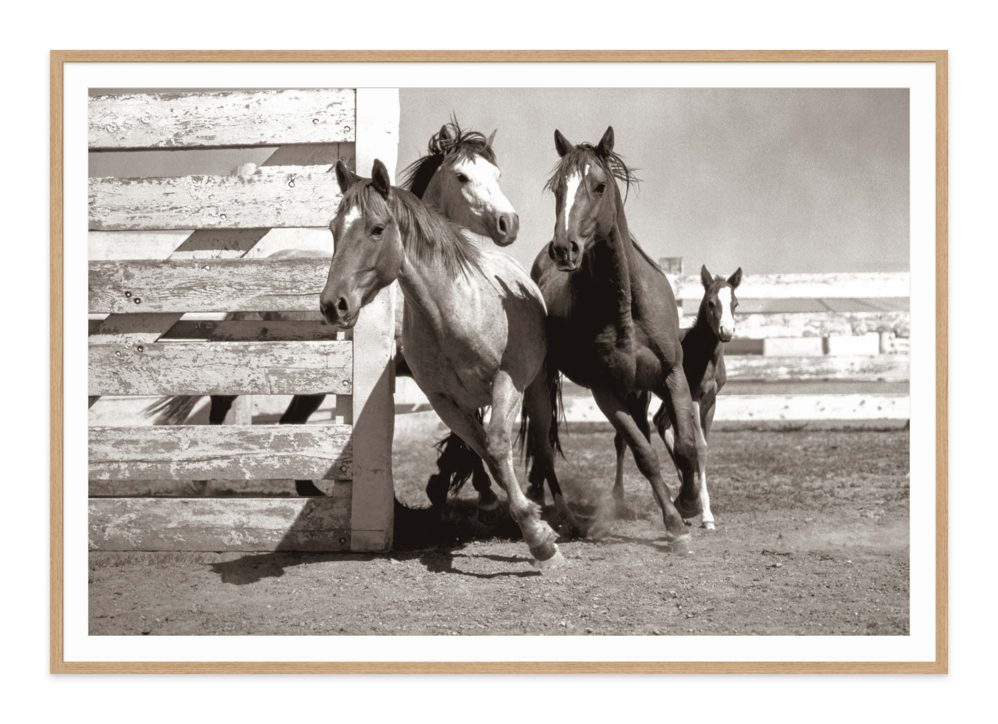 - Jules Frazier Fine Art Photographs