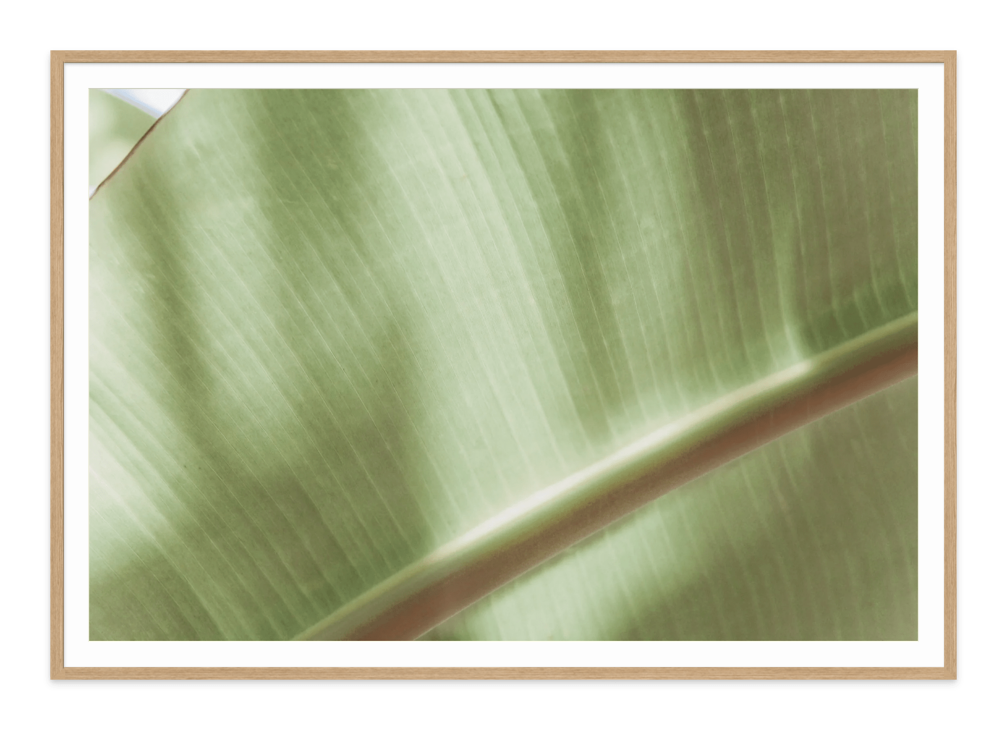 - Jules Frazier Fine Art Photographs