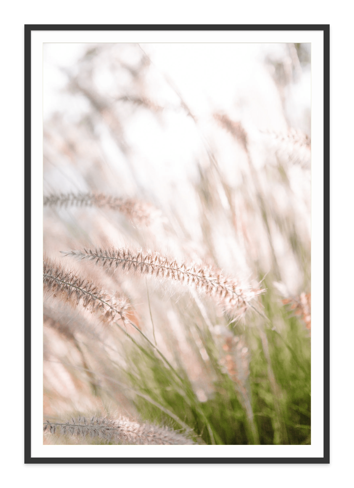 - Jules Frazier Fine Art Photographs