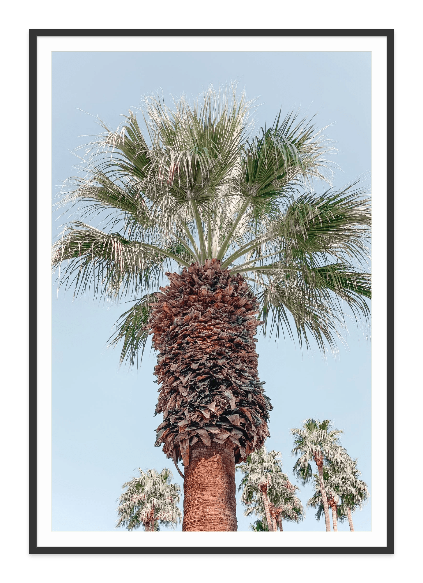 - Jules Frazier Fine Art Photographs