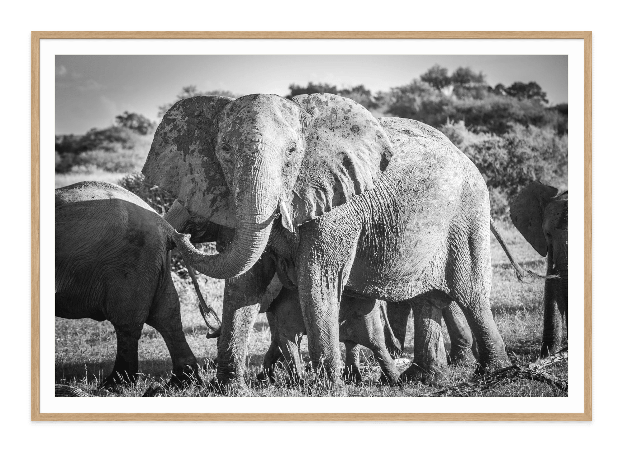 - Jules Frazier Fine Art Photographs