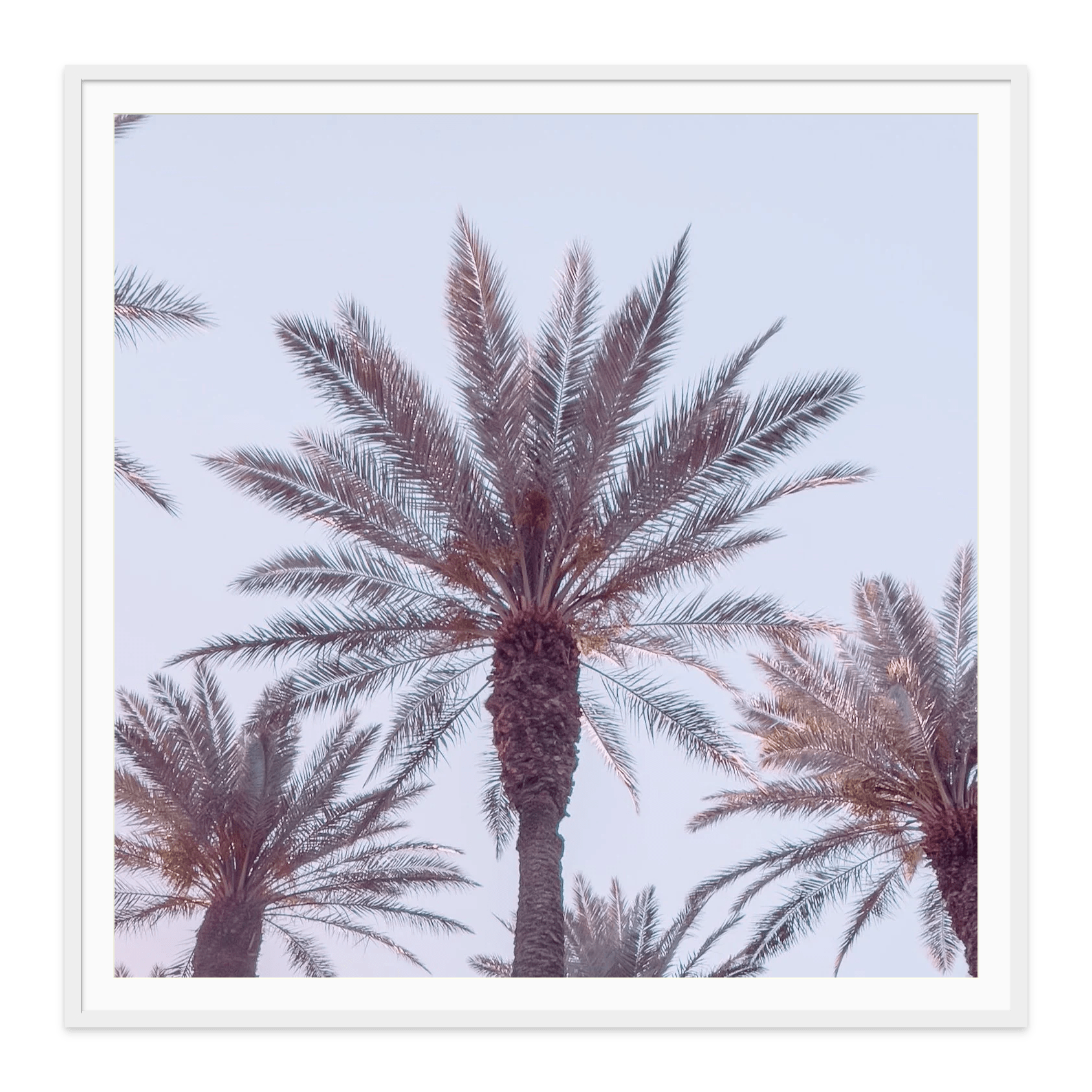 - Jules Frazier Fine Art Photographs