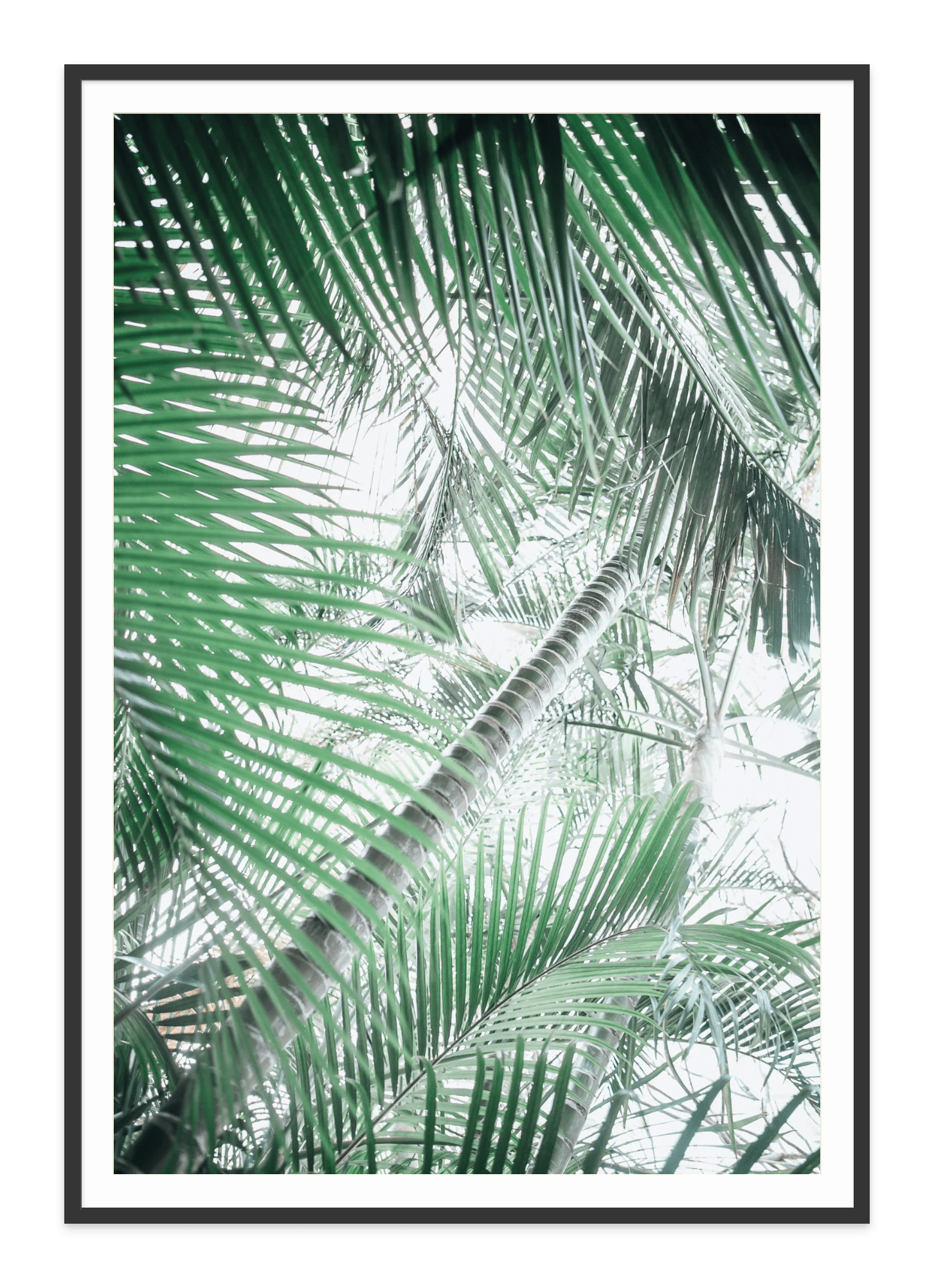 - Jules Frazier Fine Art Photographs