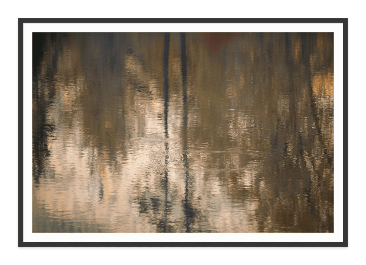 - Jules Frazier Fine Art Photographs