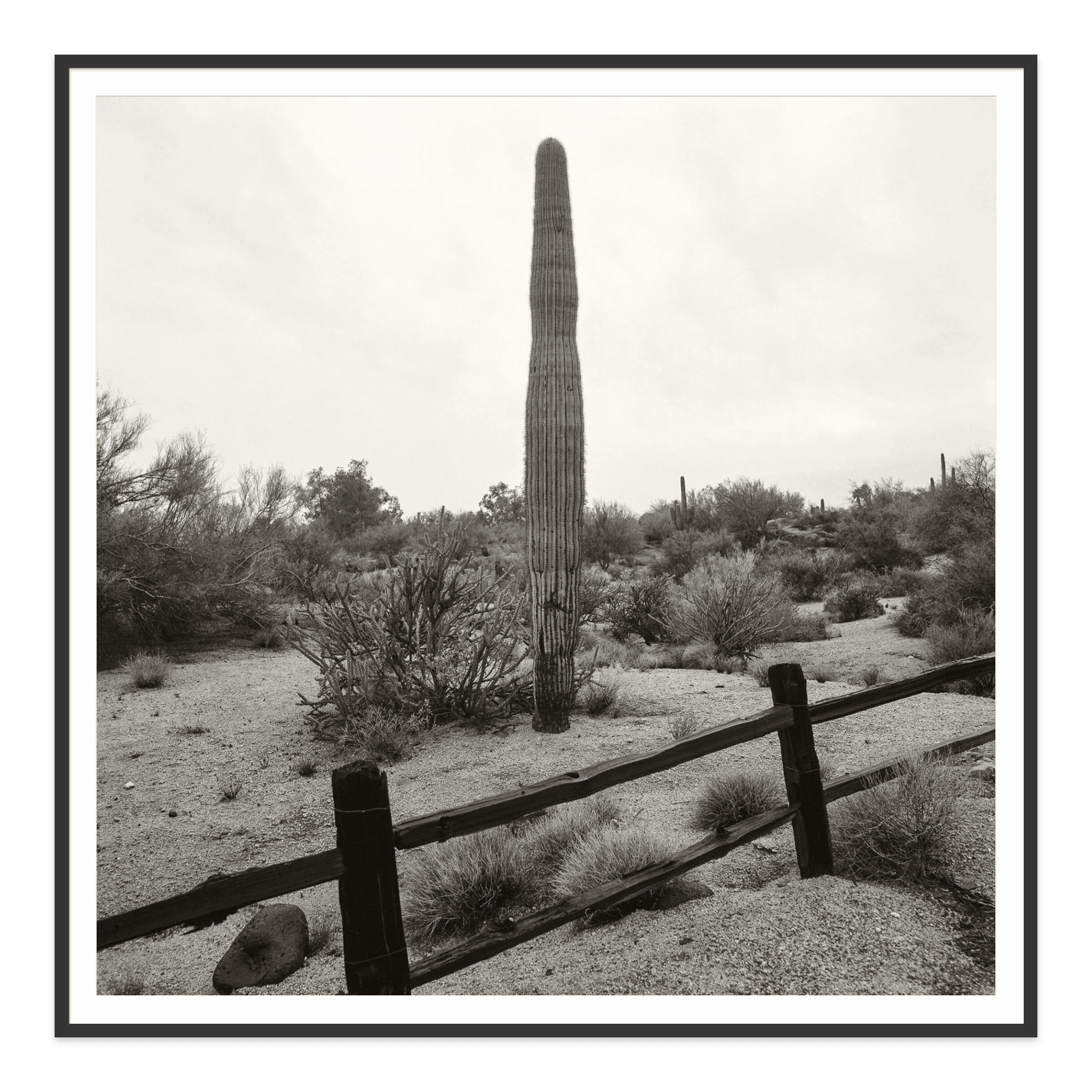 - Jules Frazier Fine Art Photographs